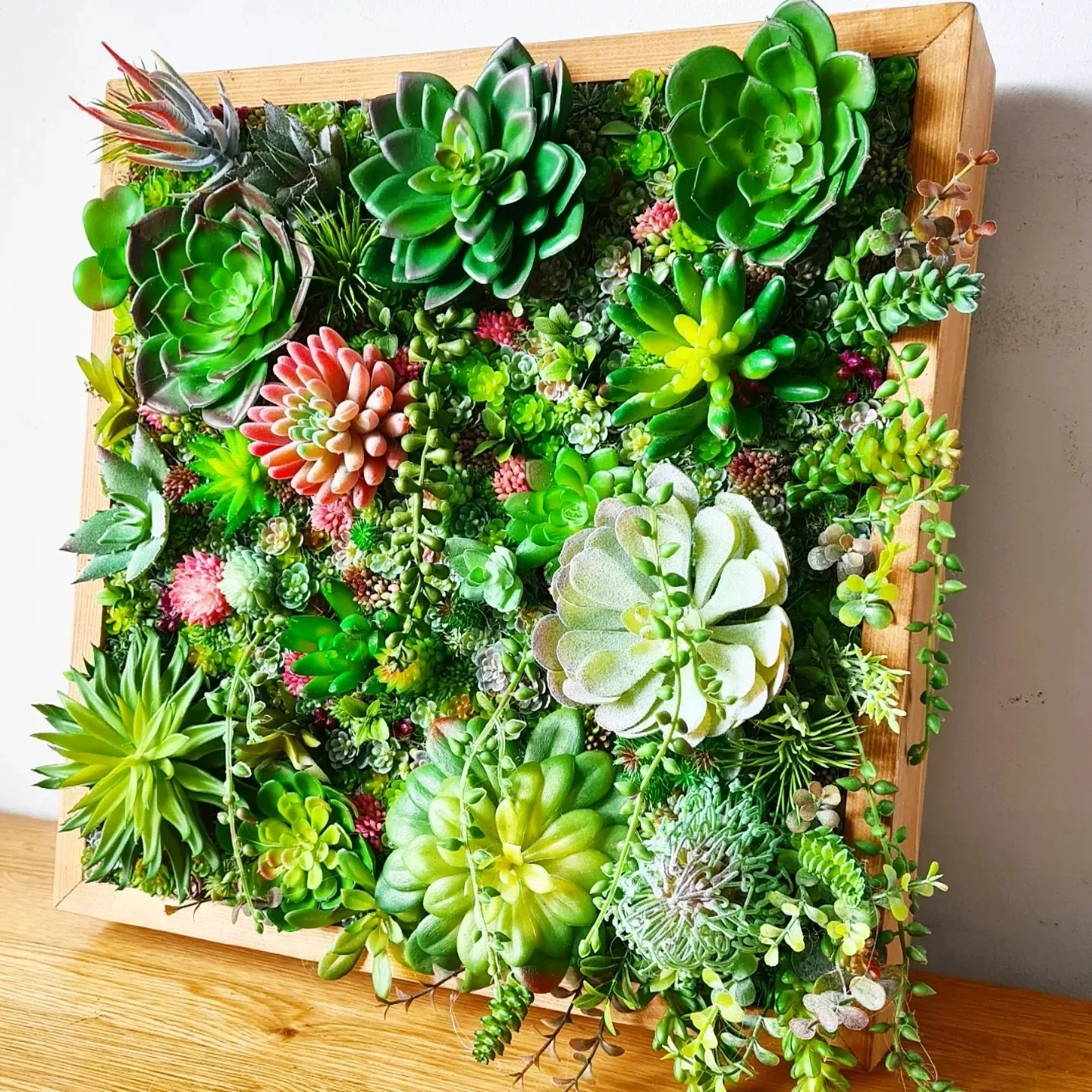Faux Succulent Wall Square x 1 (Green/Pinks)
