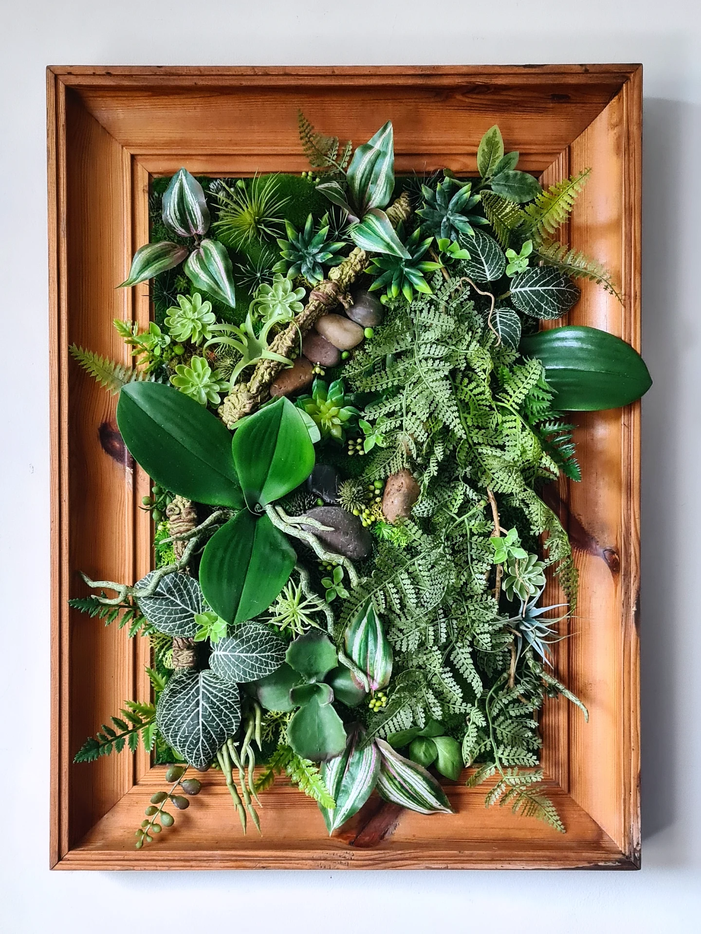Succulent Wall Art in Vintage Frame