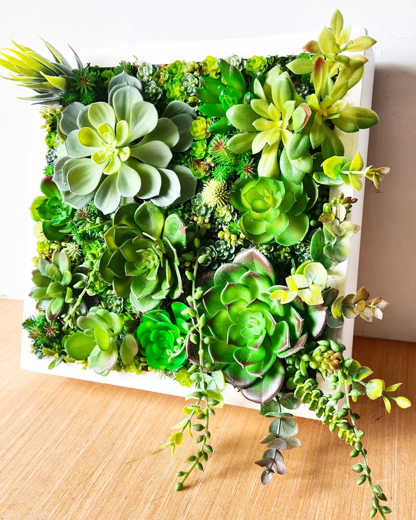 Faux Succulent Wall Square x 1 (Greens)