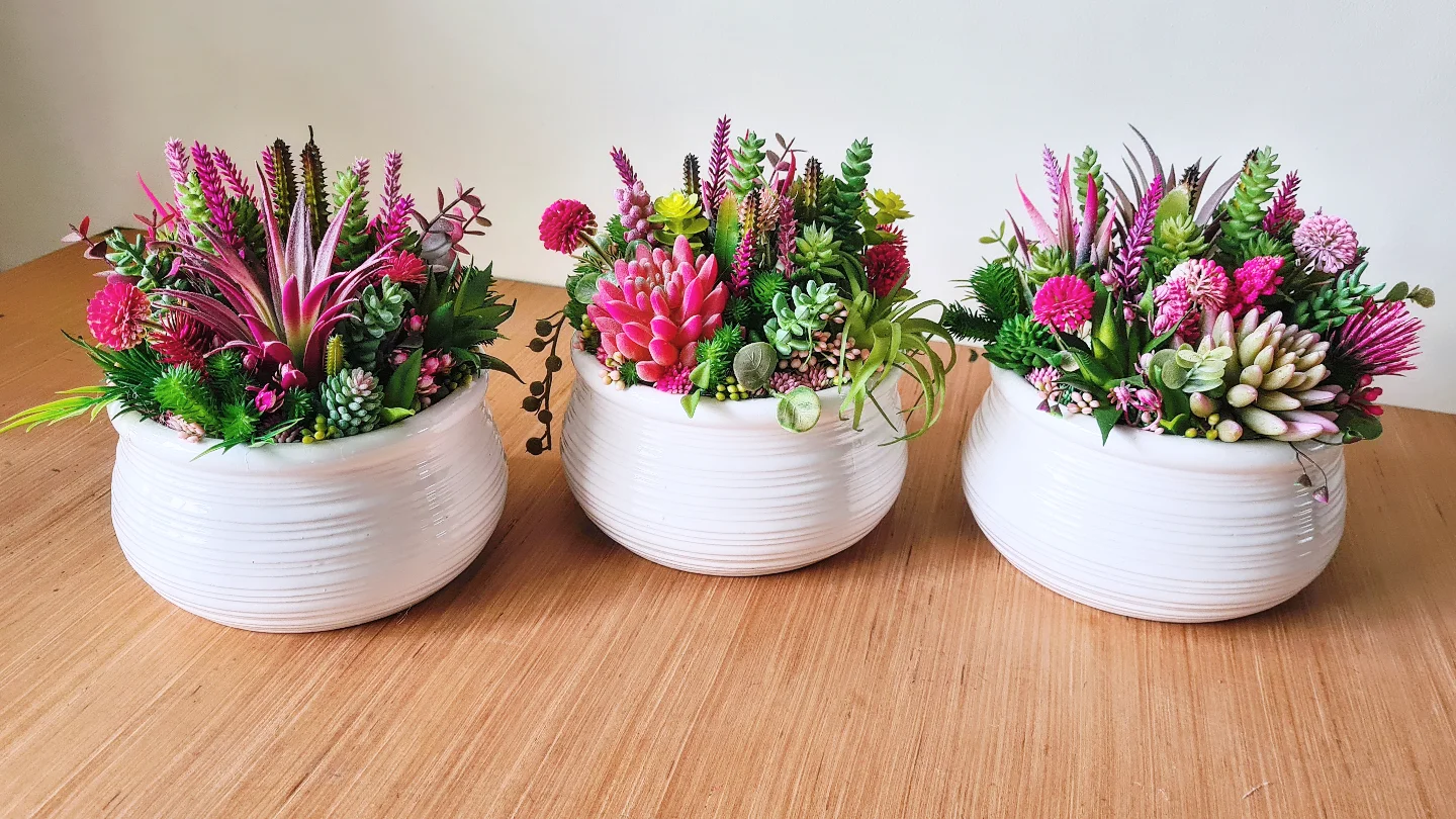 Small Colourful Succulent Arrangement 