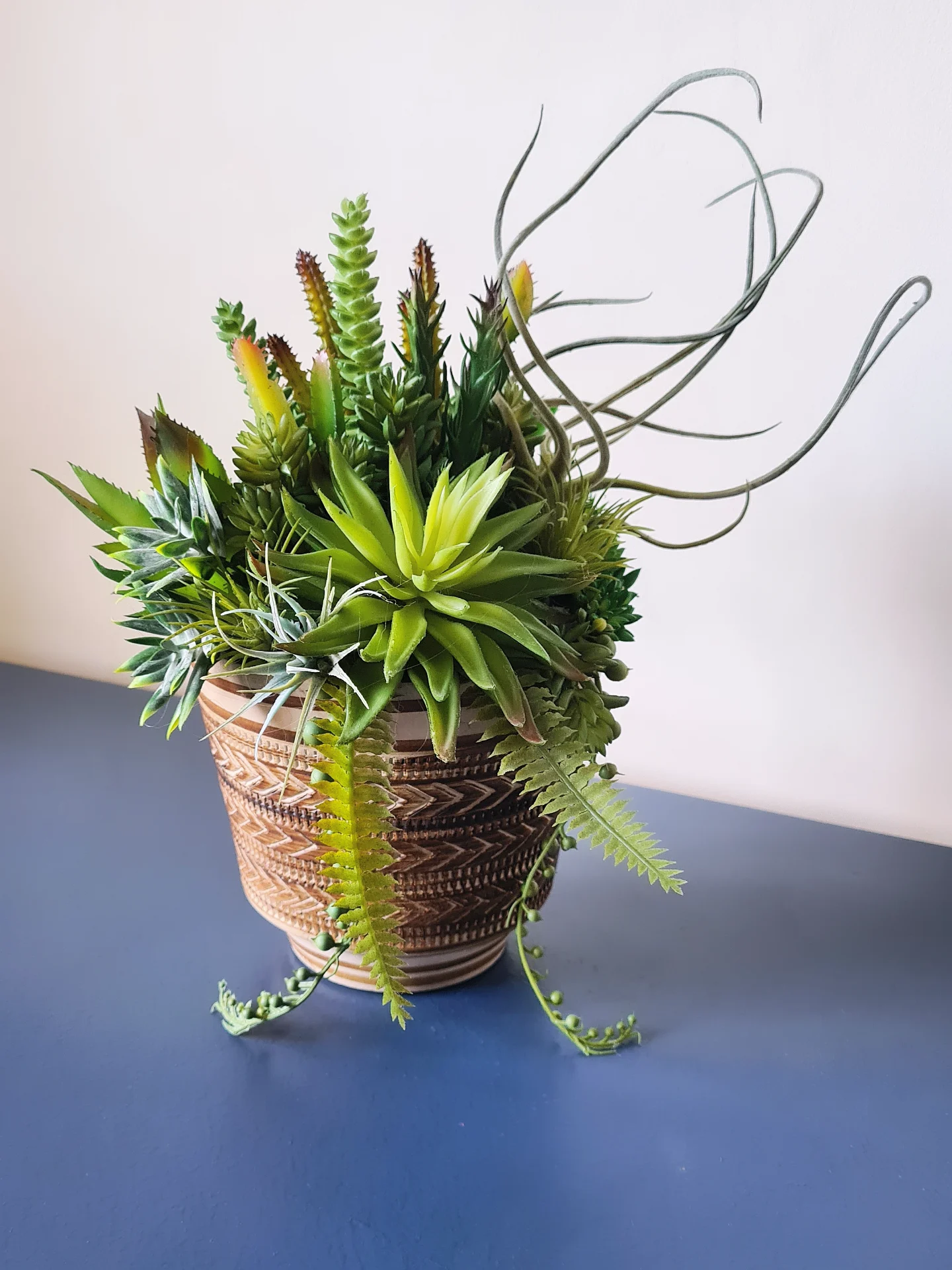 Succulent Arrangement in Retro Patterned Pot