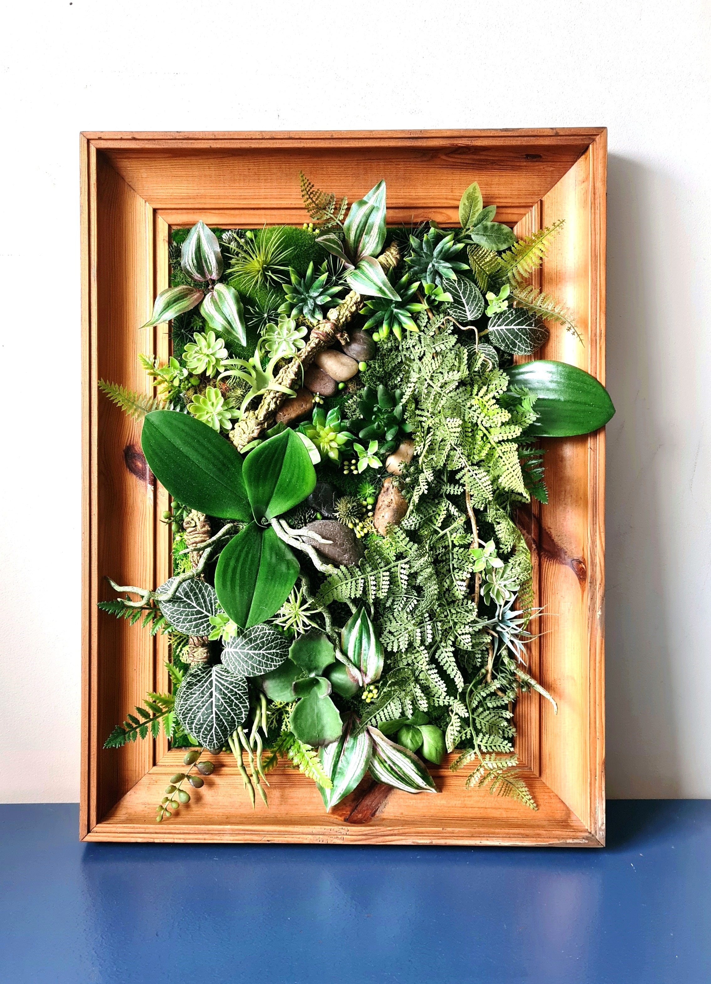 Succulent Wall Art in Vintage Frame