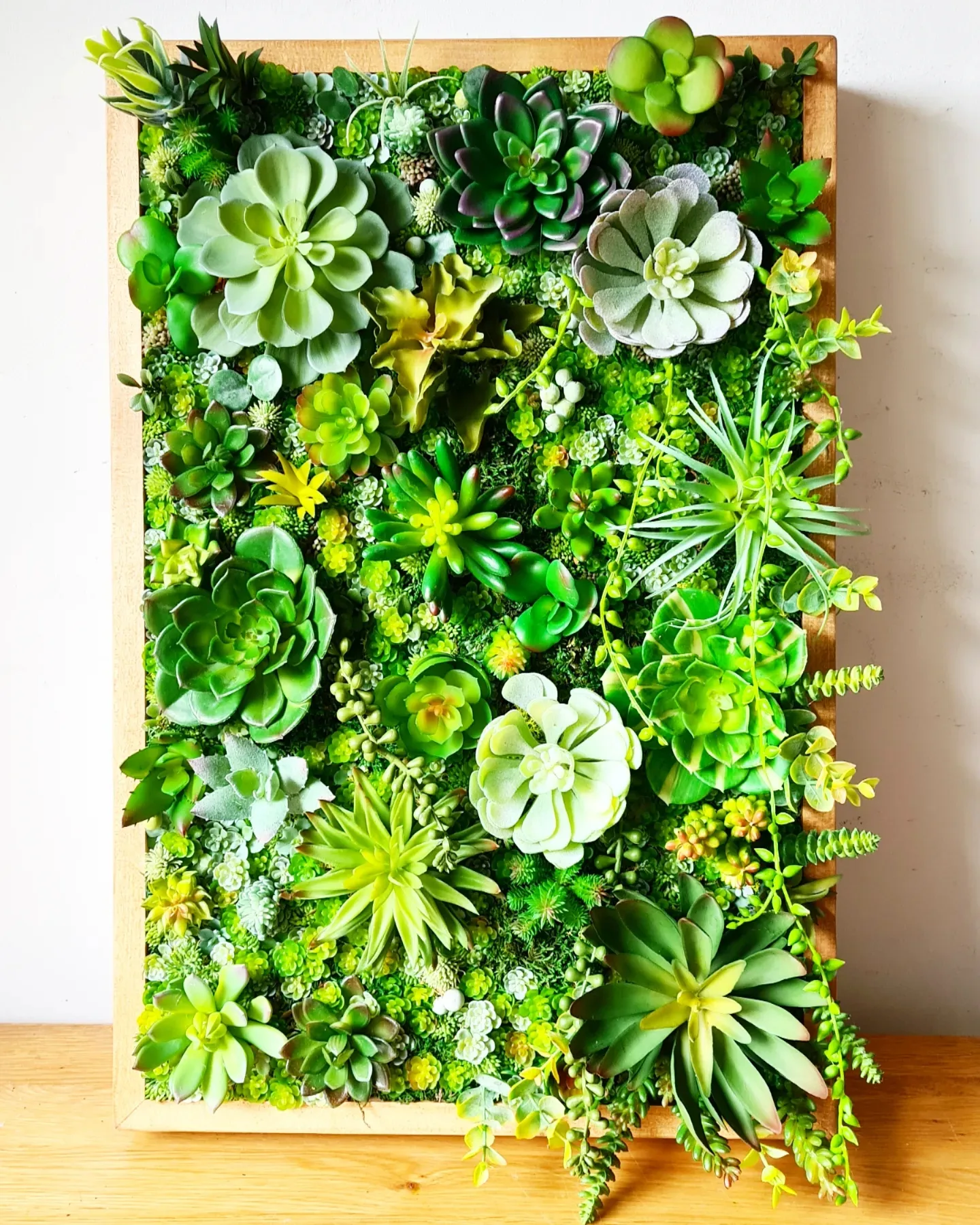 Faux Succulent Wall Panel x 1 (Greens)