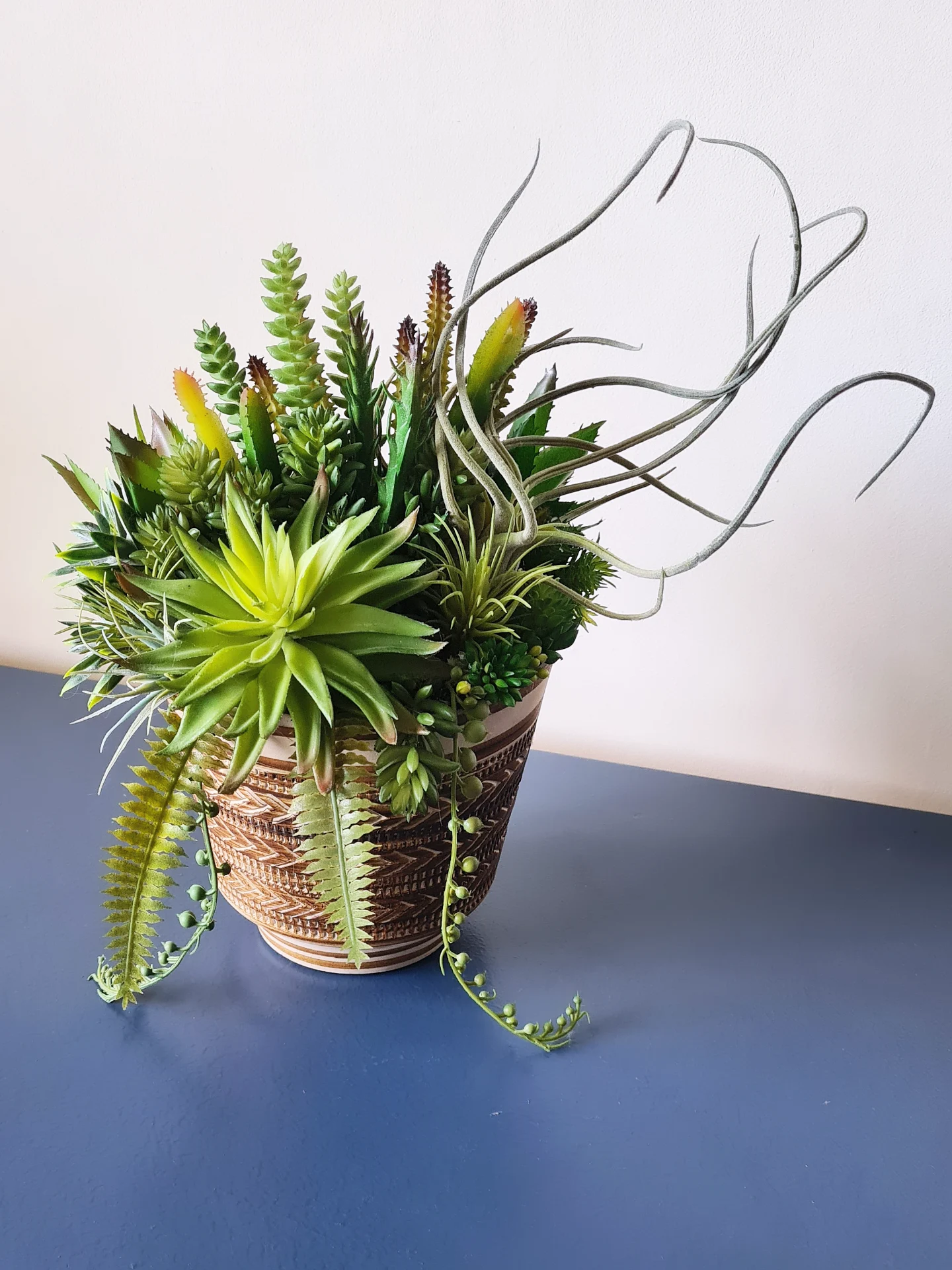 Succulent Arrangement in Retro Patterned Pot