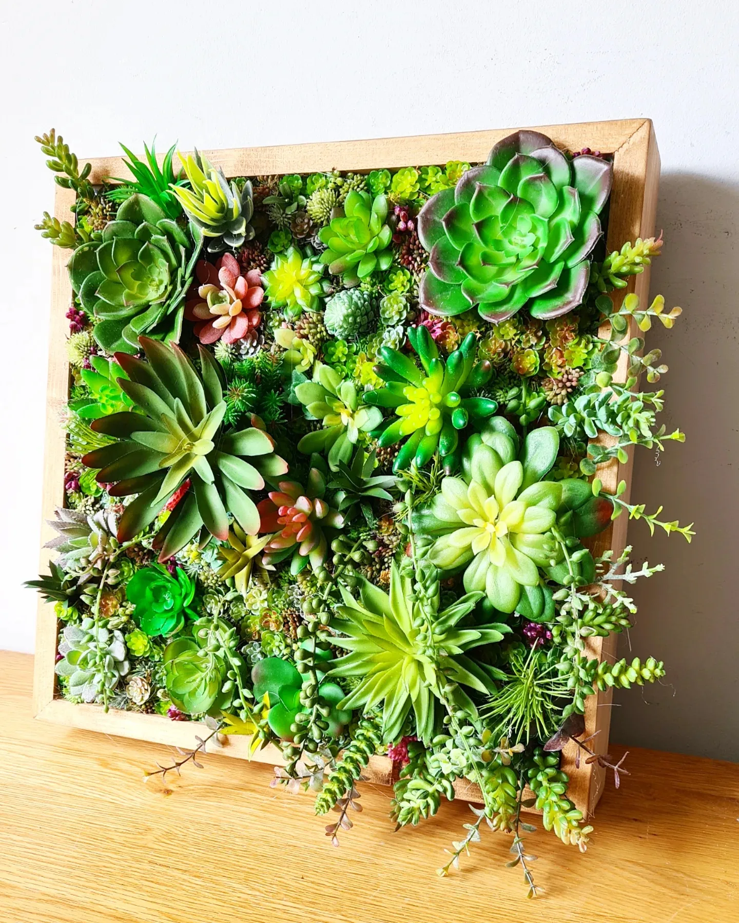 Faux Succulent Wall Square x 1 (Green/Pinks)