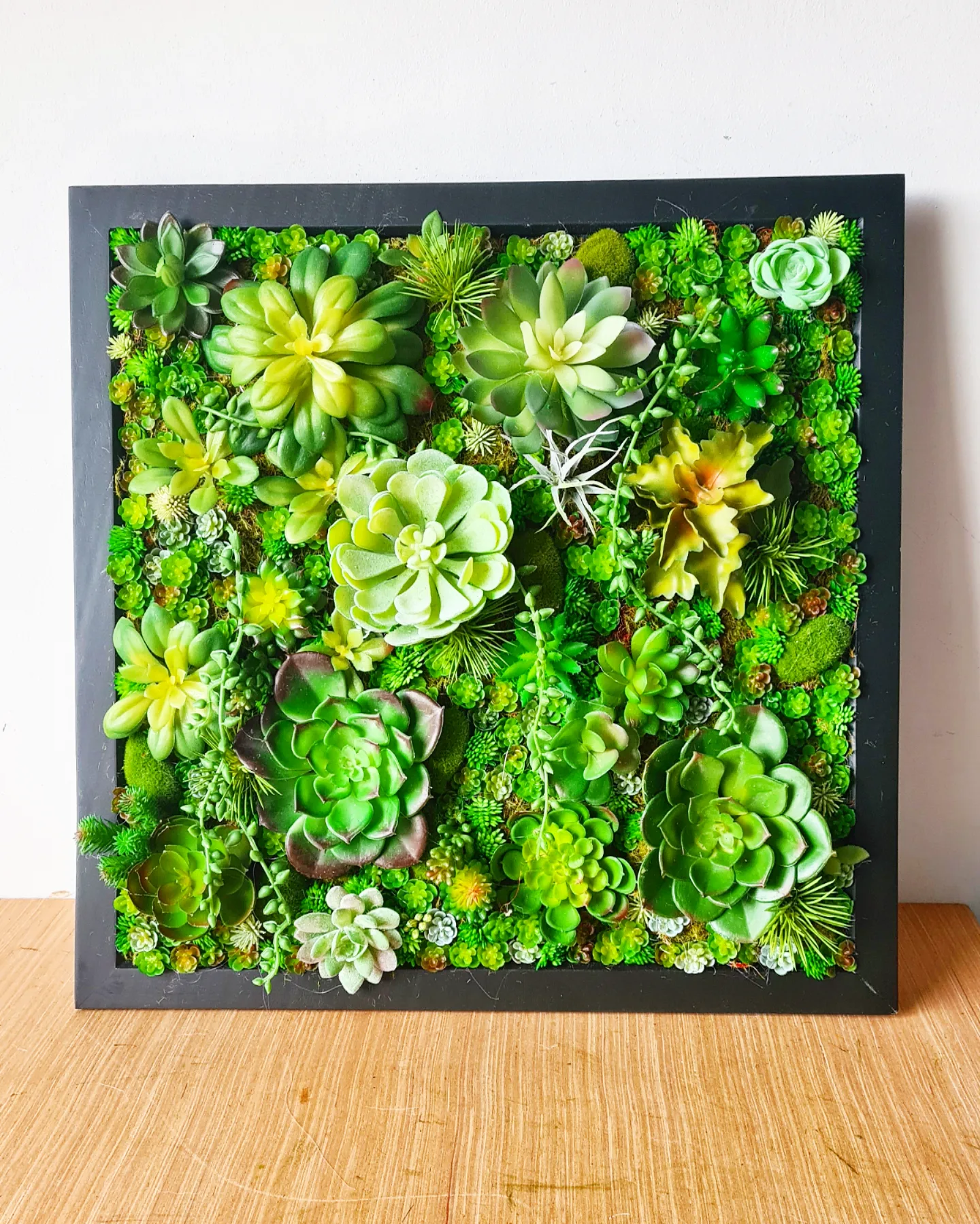 Faux Succulent Wall Square x 1  (Greens)