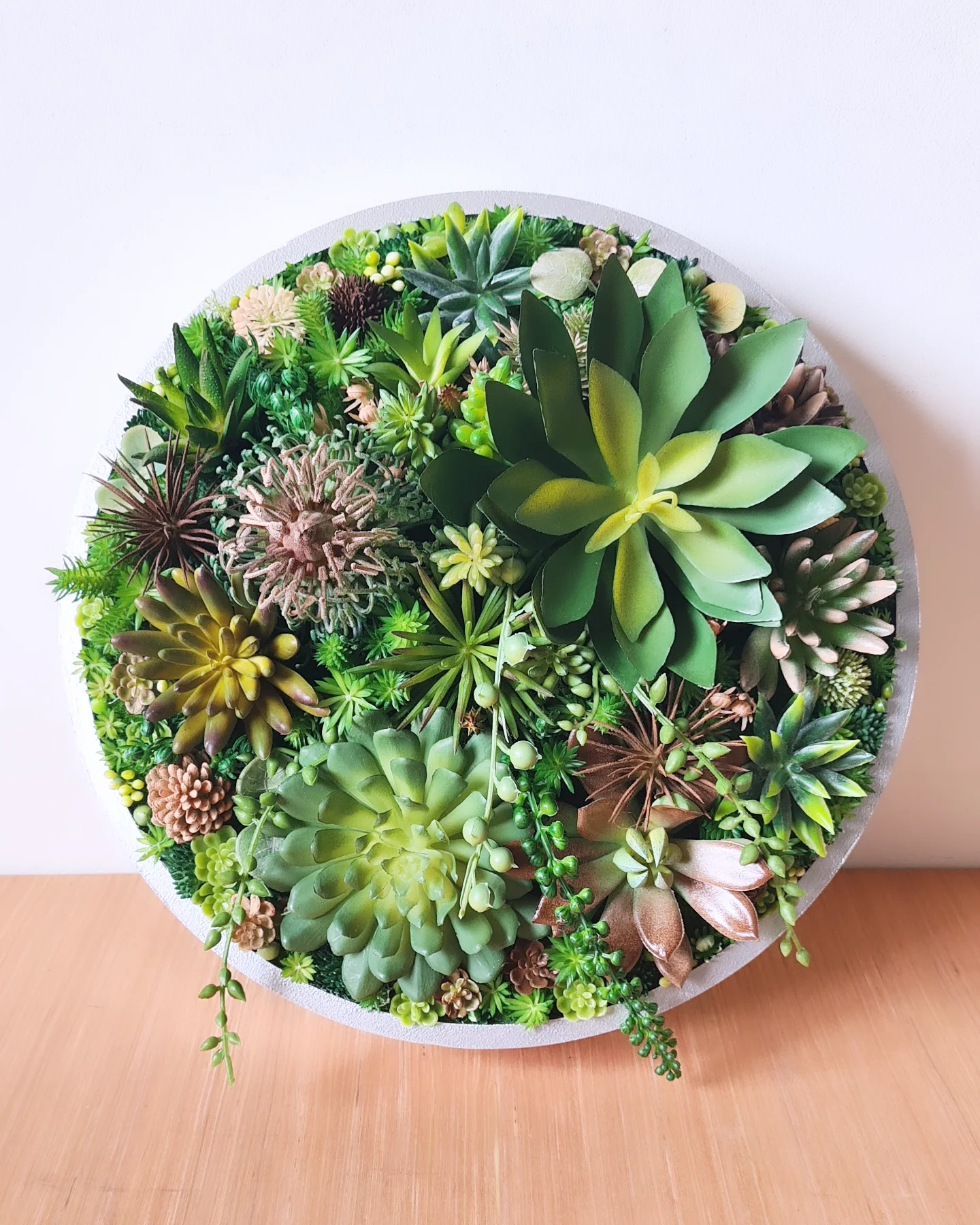 Faux Succulent Wall Circle x 1 (Green, Coffee/Choc)