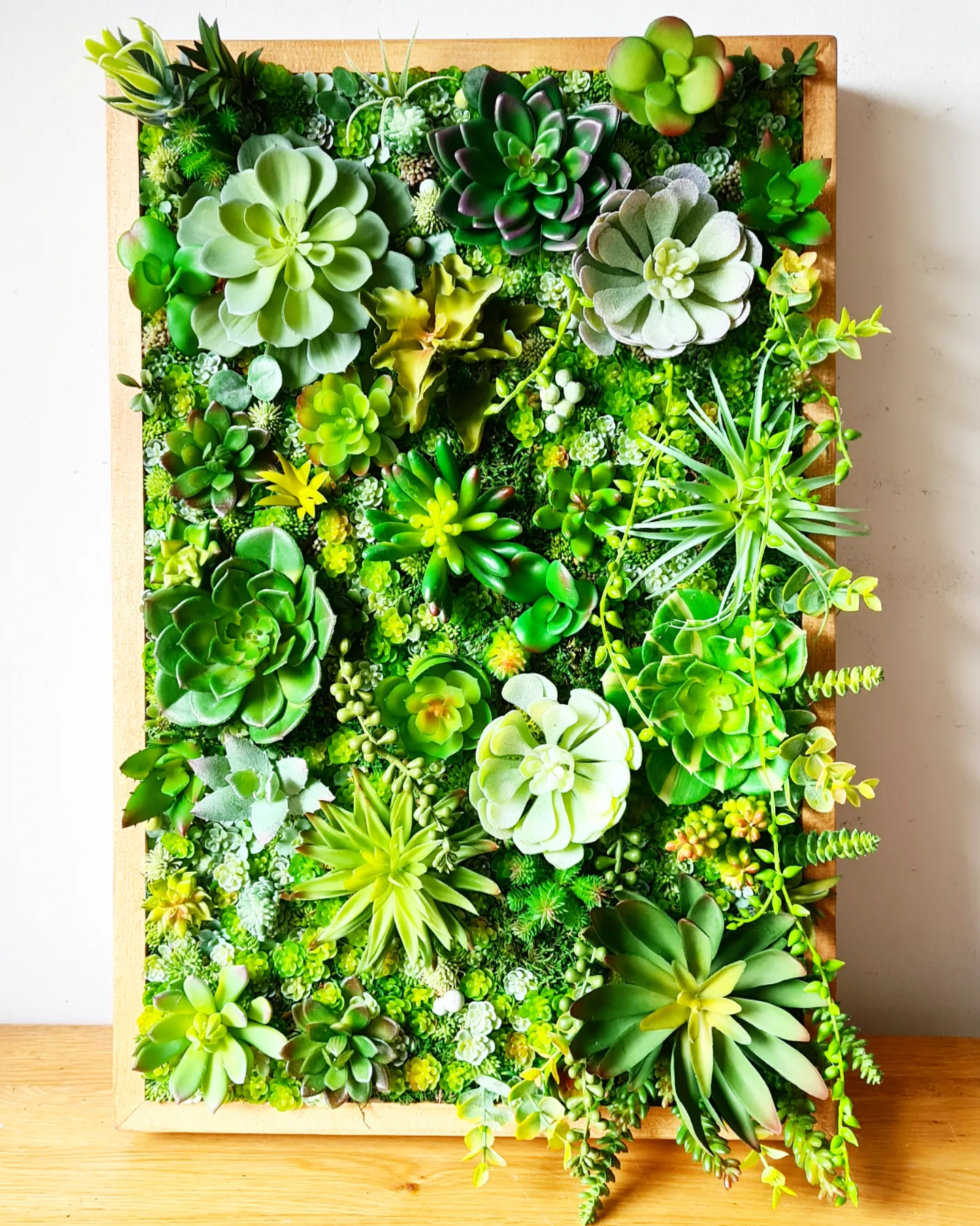 Faux Succulent Wall Panel x 1 (Greens)