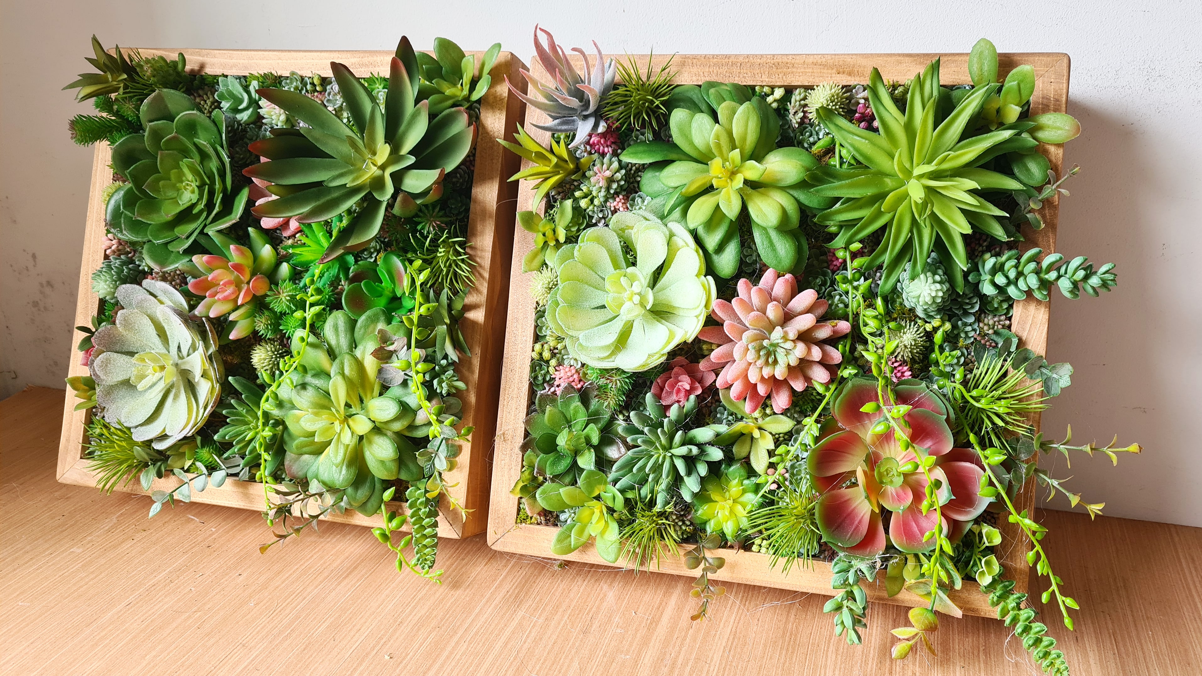 Faux Succulent Wall Squares, Trio x 3 (Green/Pinks)