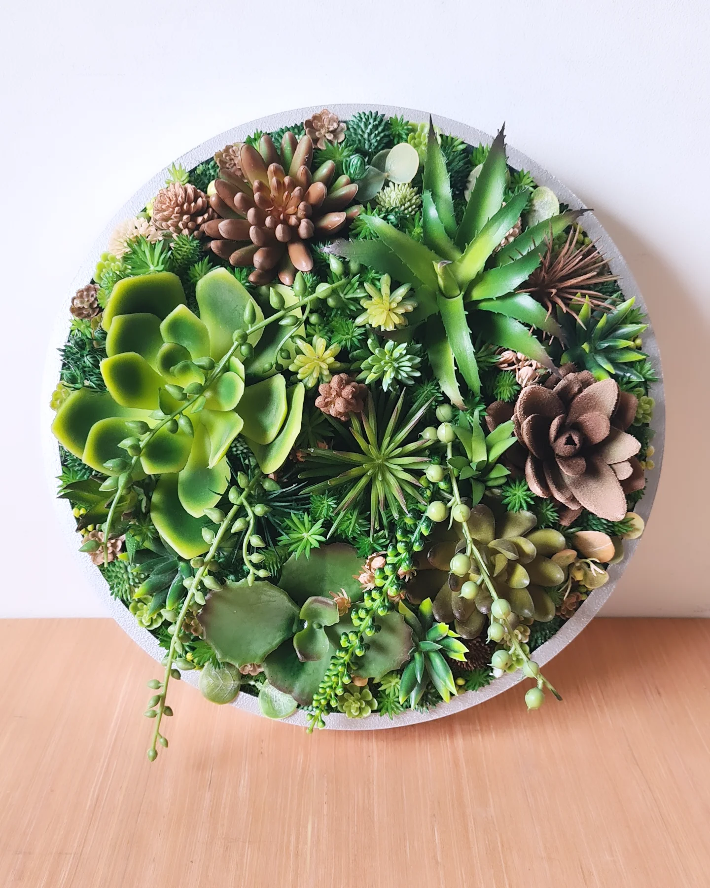 Faux Succulent Wall Circle x 1 (Green, Coffee/Choc)