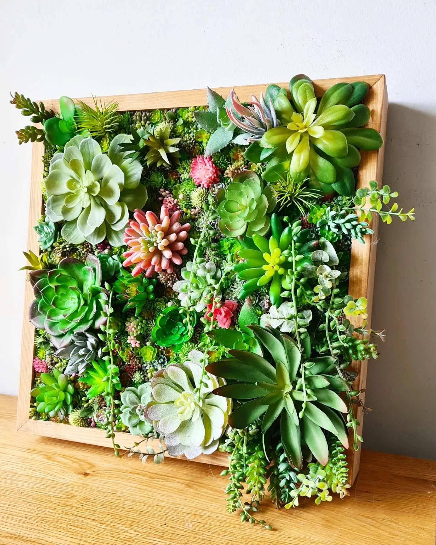 Faux Succulent Wall Square x 1 (Green/Pinks)