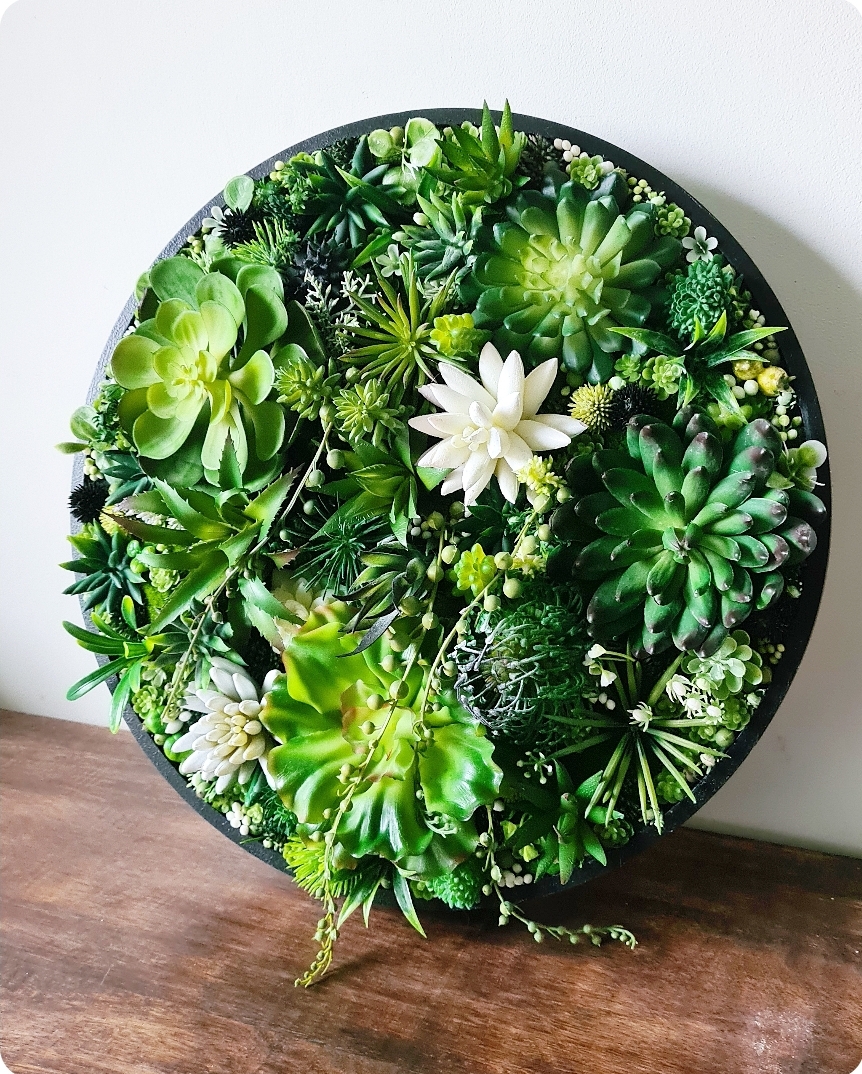 Faux Succulent Wall Circle x 1 (Green, Black/White)
