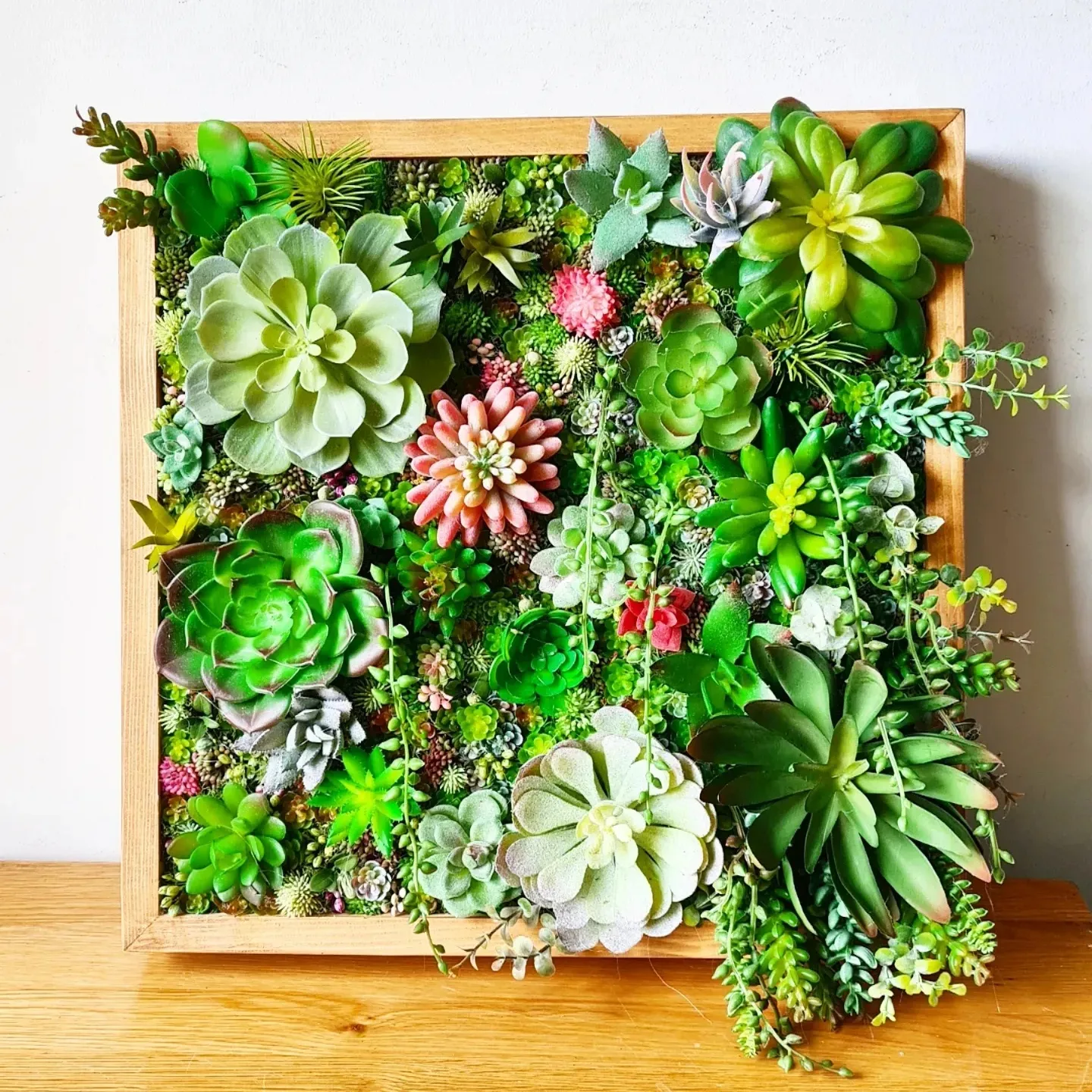 Faux Succulent Wall Square x 1 (Green/Pinks)