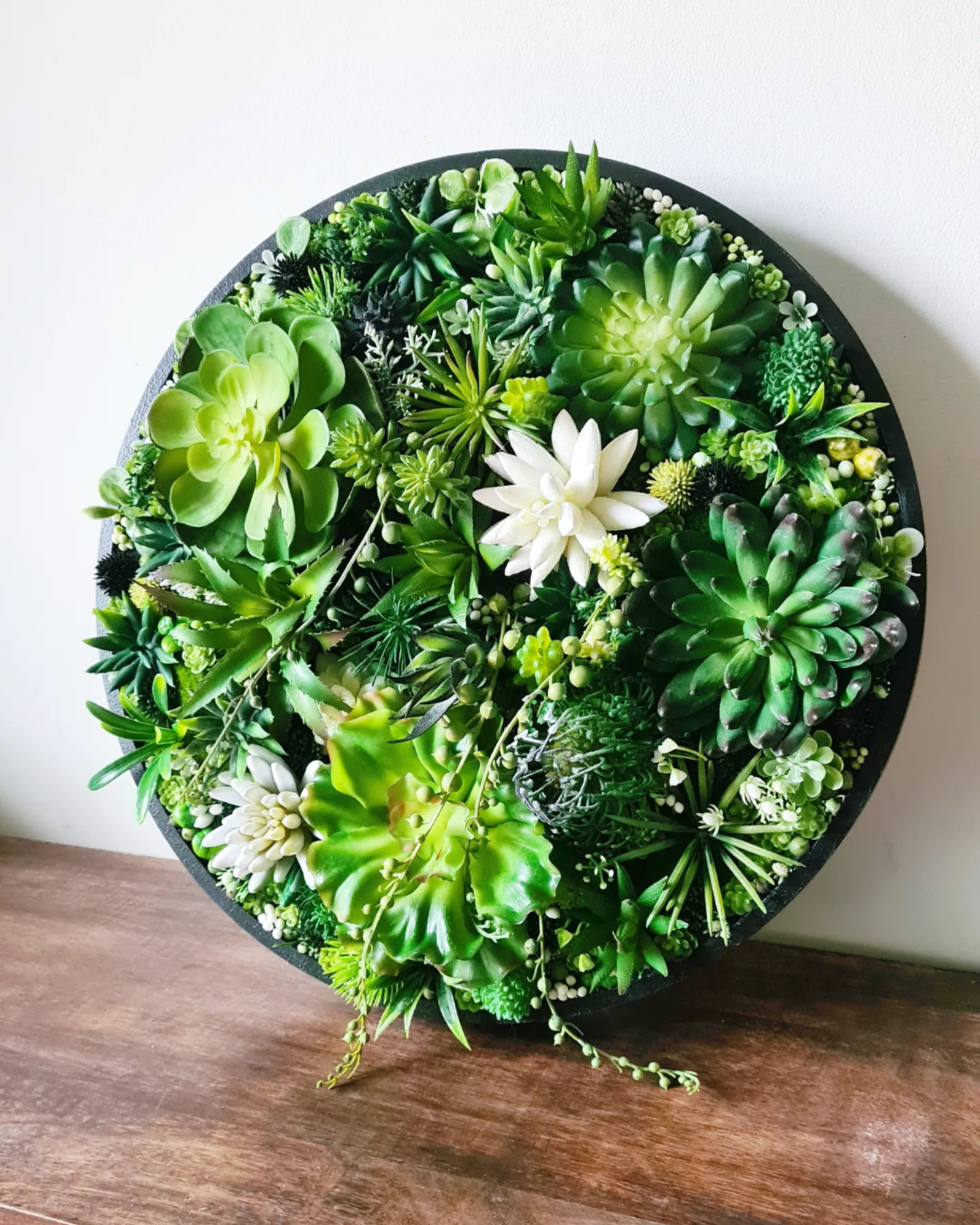 Faux Succulent Wall Circle x 1 (Green, Black/White)
