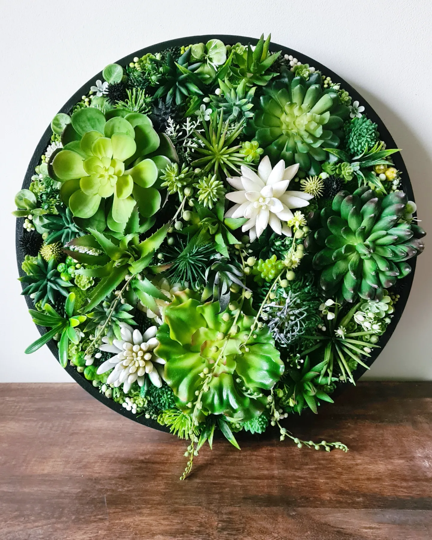Faux Succulent Wall Circle x 1 (Green, Black/White)
