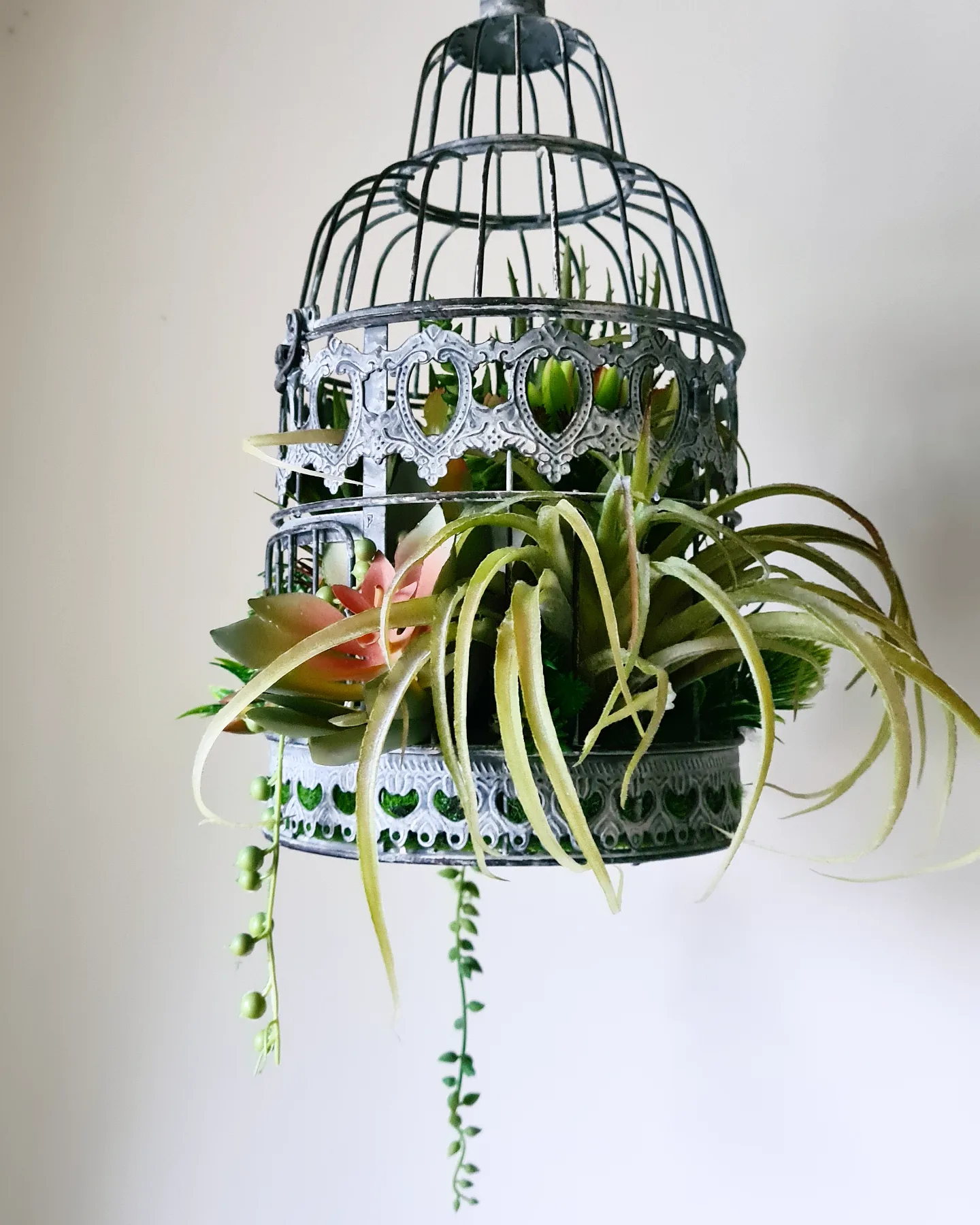 Vintage Birdcage Succulent Arrangement