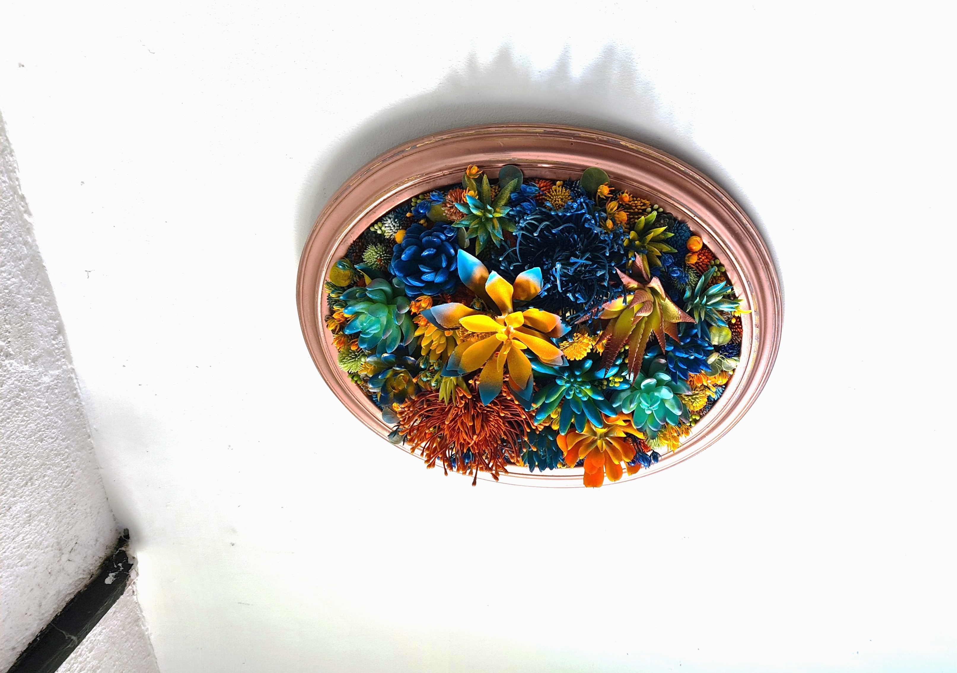 Bohemian Succulent Wall Art