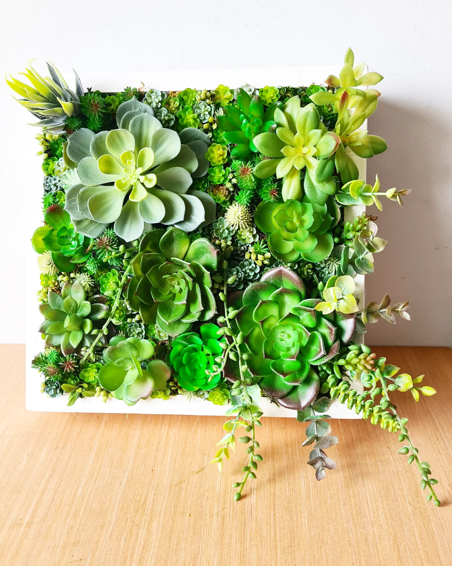 Faux Succulent Wall Squares, Trio x 3 (Greens)