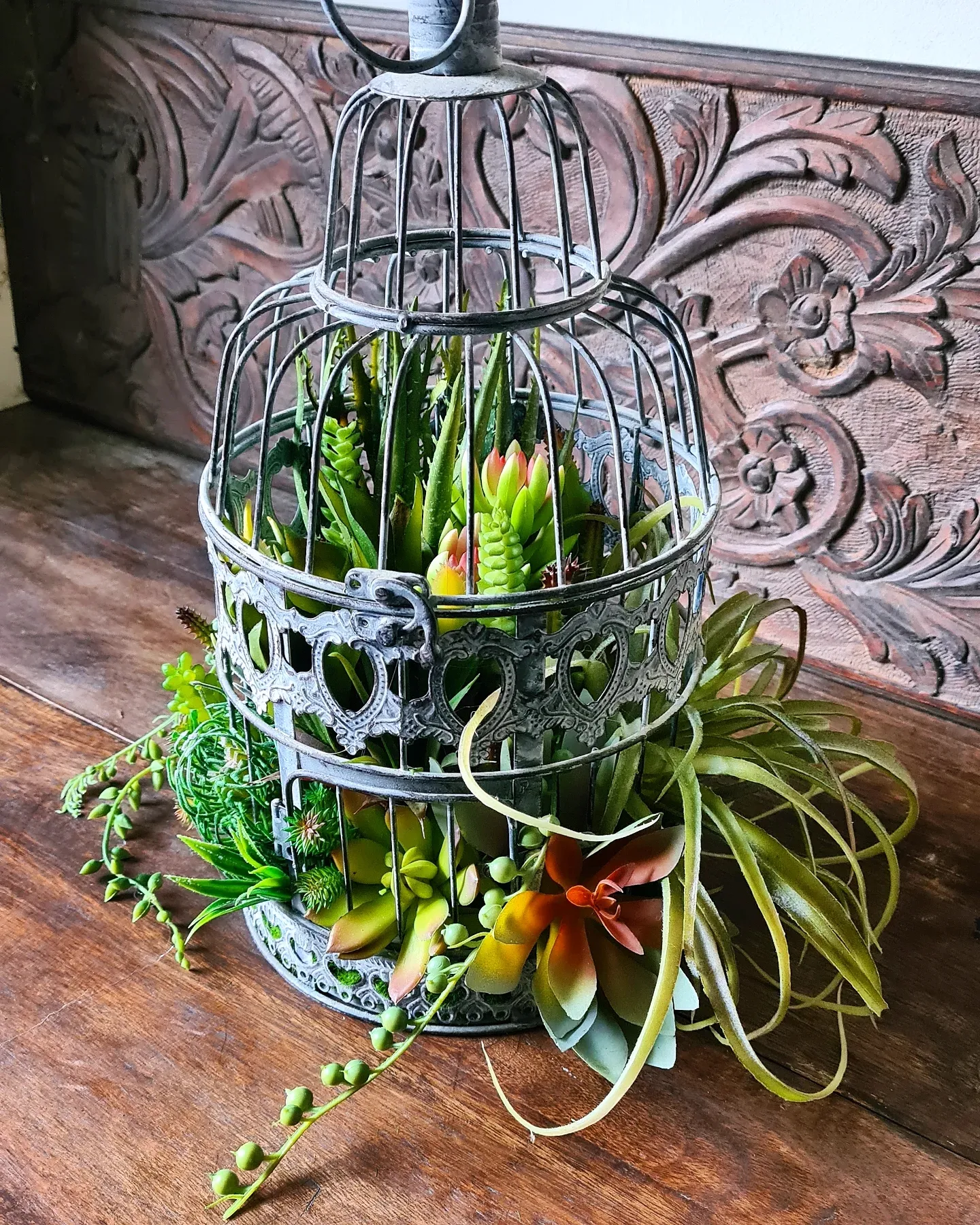 Vintage Birdcage Succulent Arrangement