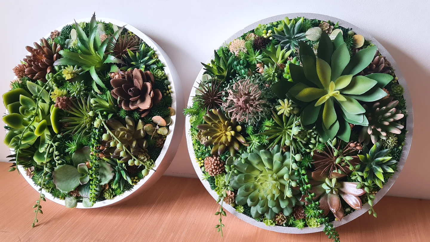 Faux Succulent Wall Circle x 1 (Green, Coffee/Choc)