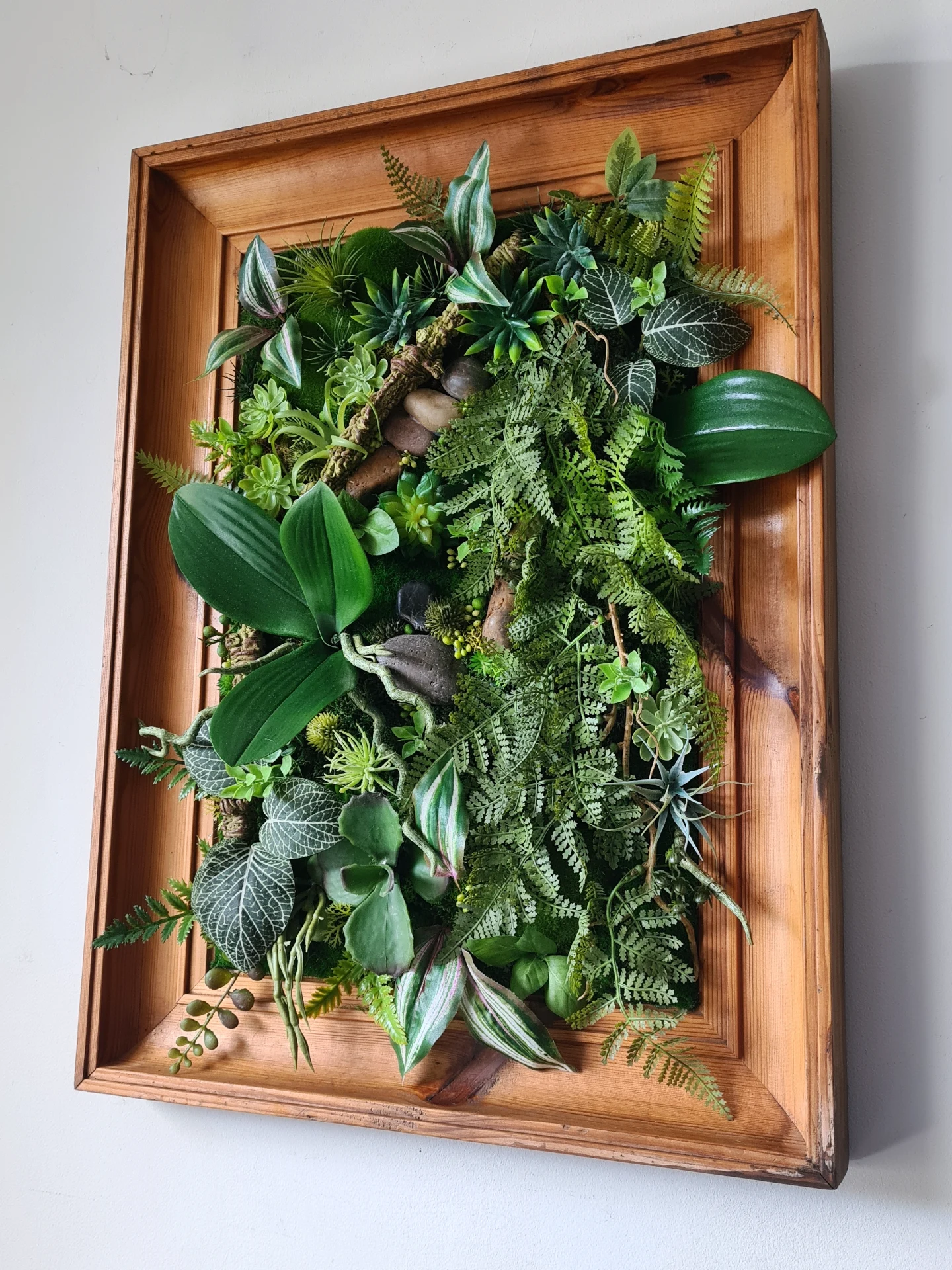 Succulent Wall Art in Vintage Frame