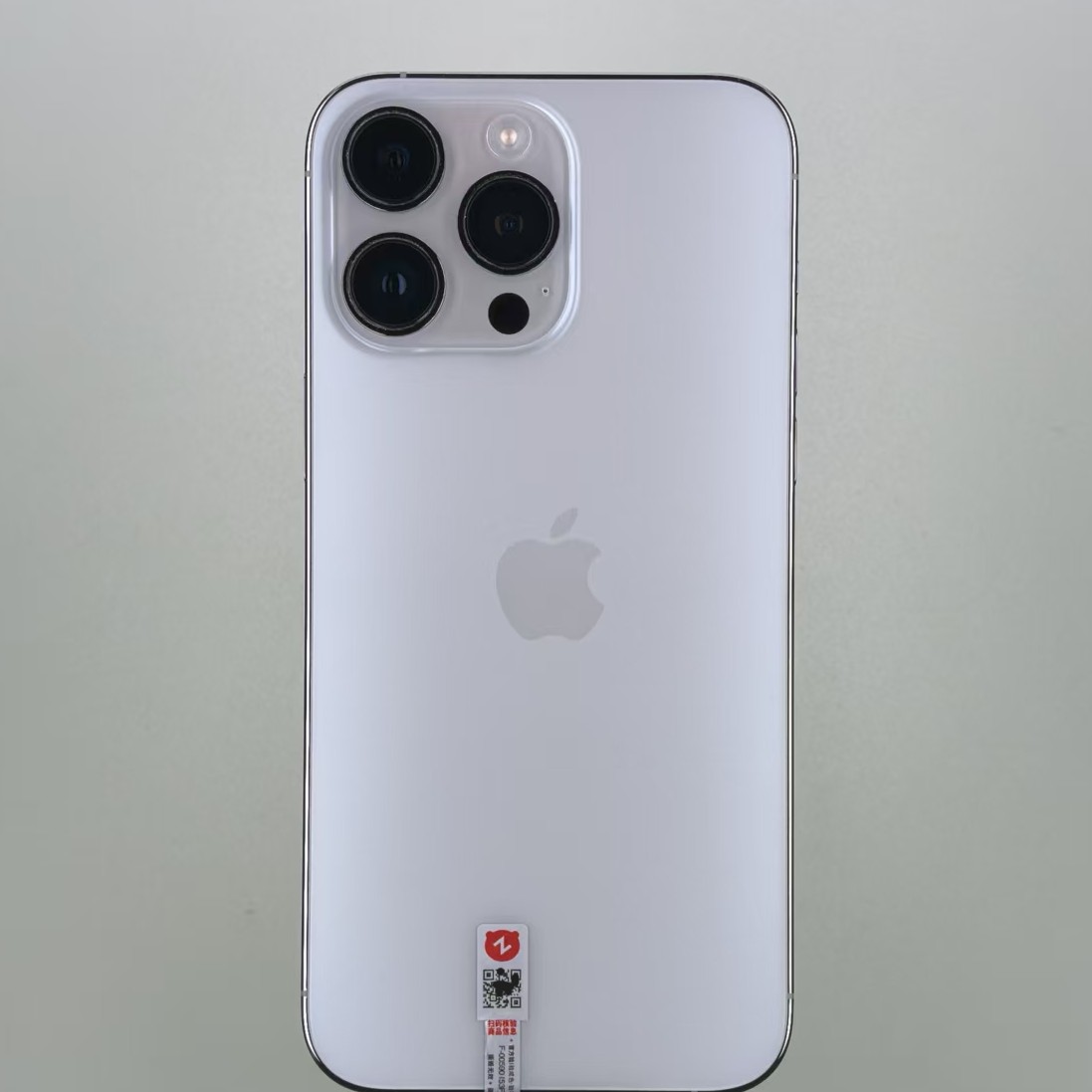 iPhone 13 Pro Max 1TB Silver, Unlocked (Global Version)