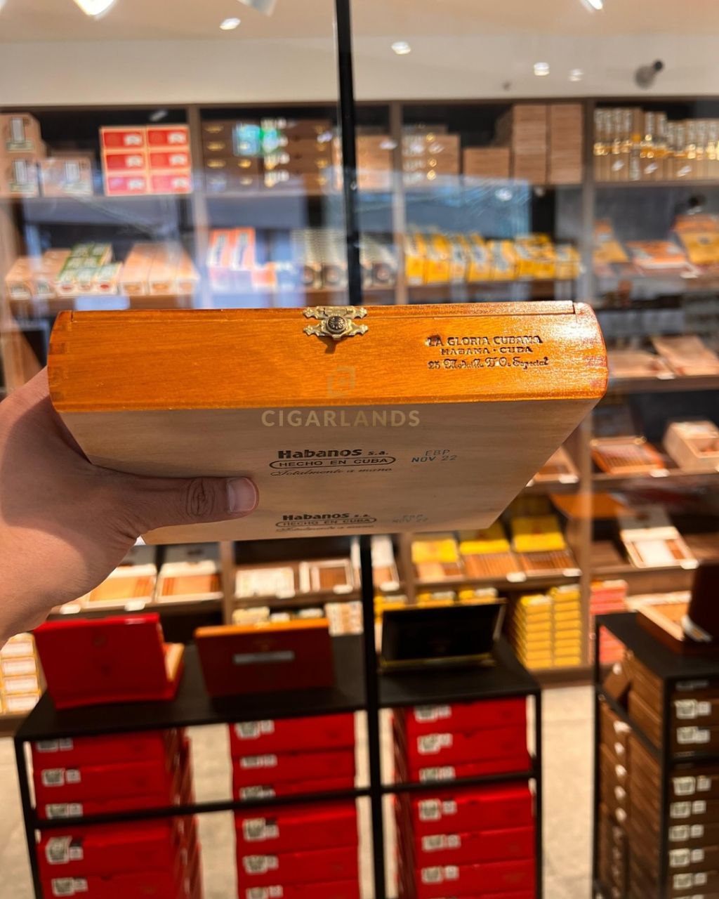 La Gloria Cubana Médaille D'Or Especial