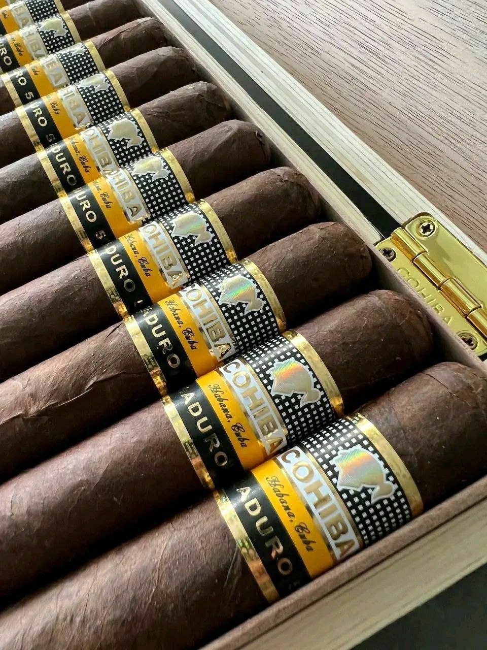 Cohiba Maduro 5
