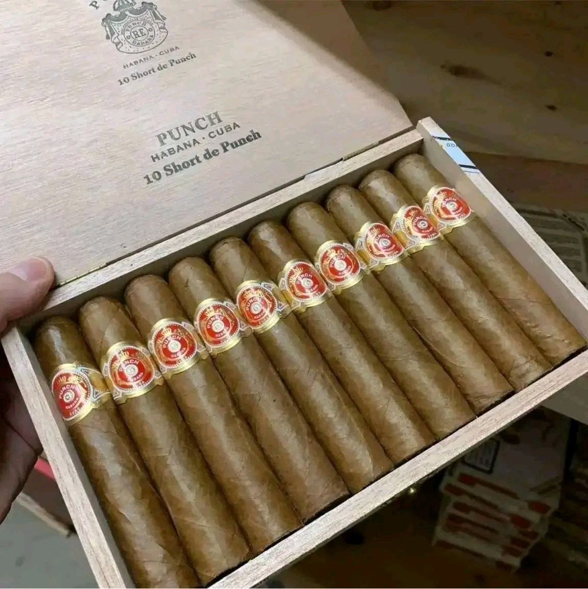 Punch Short de Punch