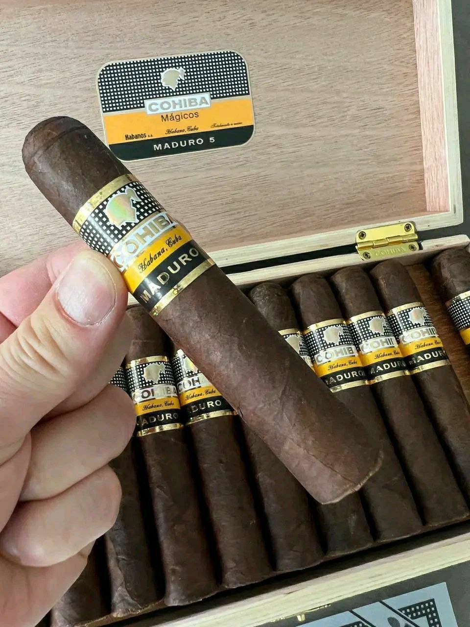 Cohiba Maduro 5