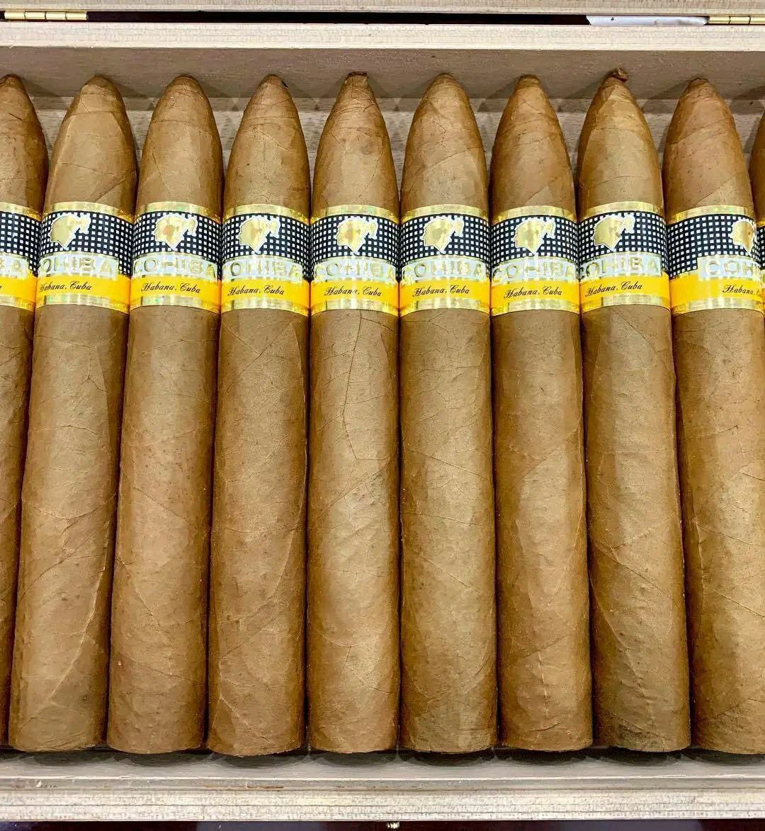 Cohiba Pirámides Extra