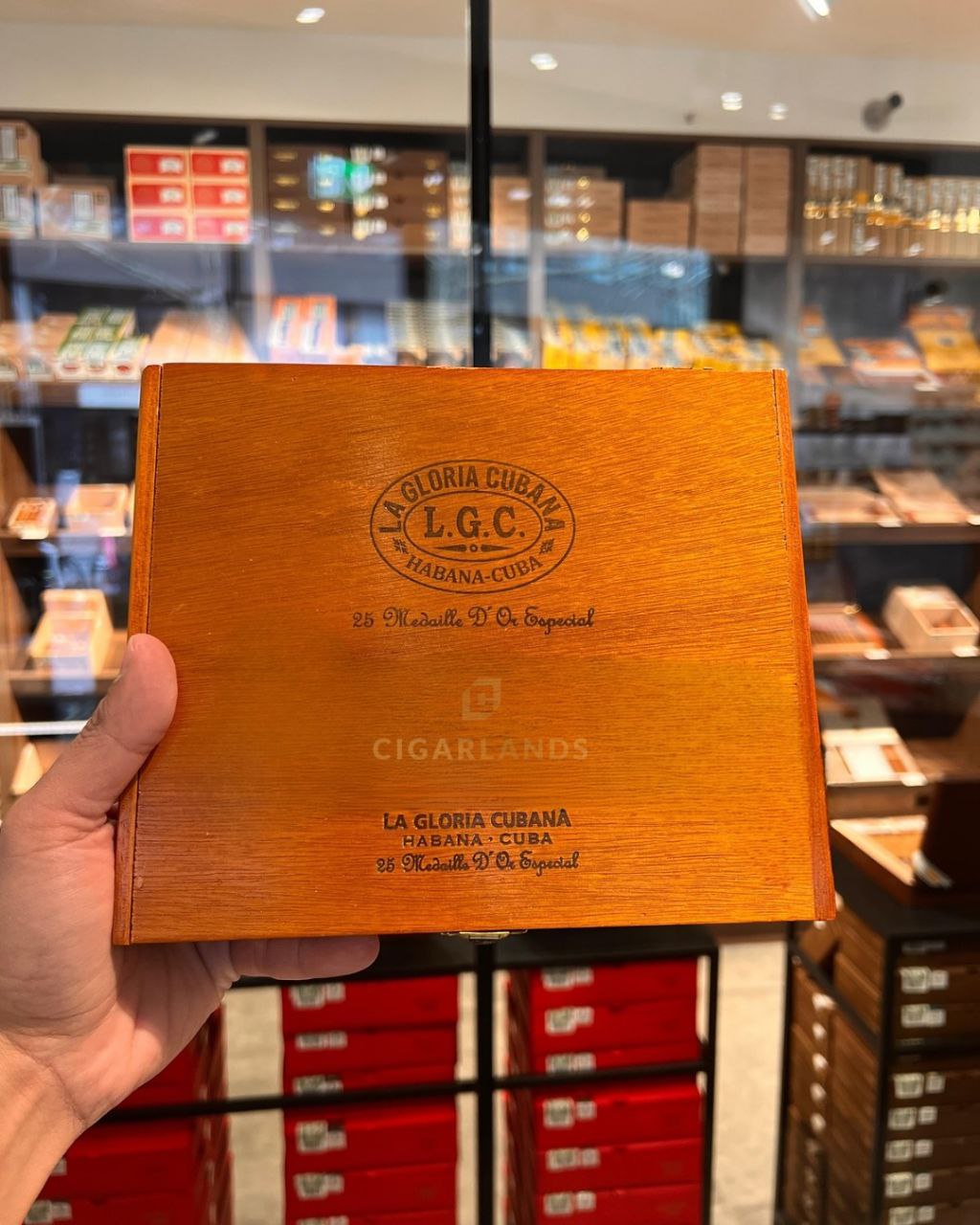 La Gloria Cubana Médaille D'Or Especial