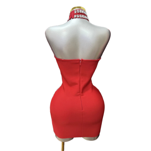 Crystal Embellished Bodycon Dress