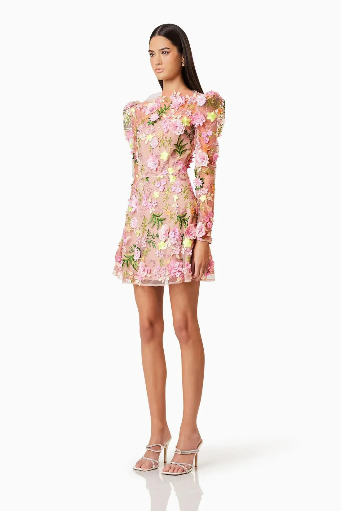 Floral Embroidered Mini Dress