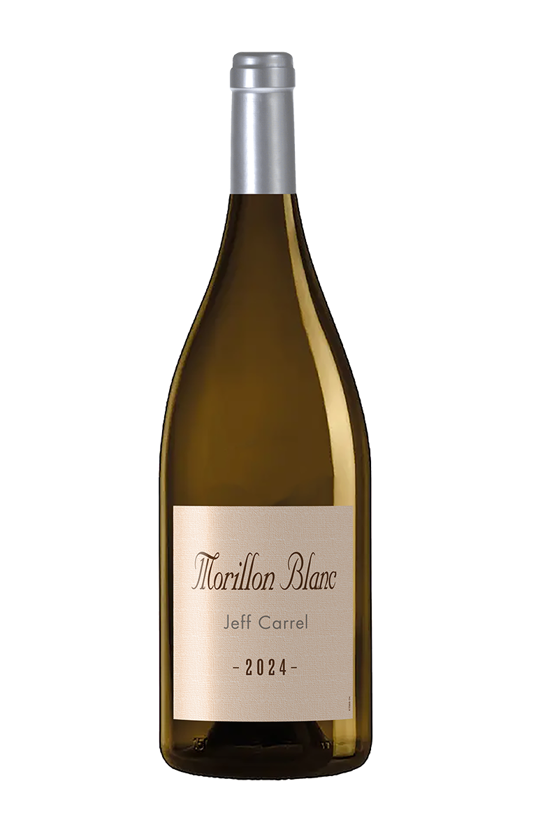Morillon Blanc 2024