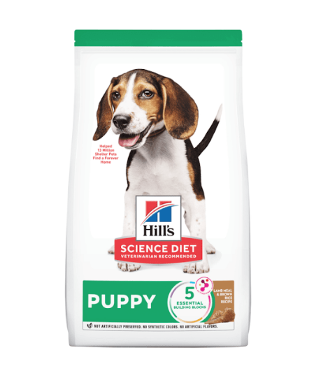 Hills Science Diet Cachorro Cordero y arroz