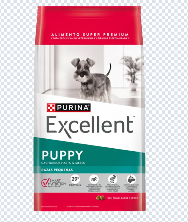 Excellent Cachorros Razas Pequeńas