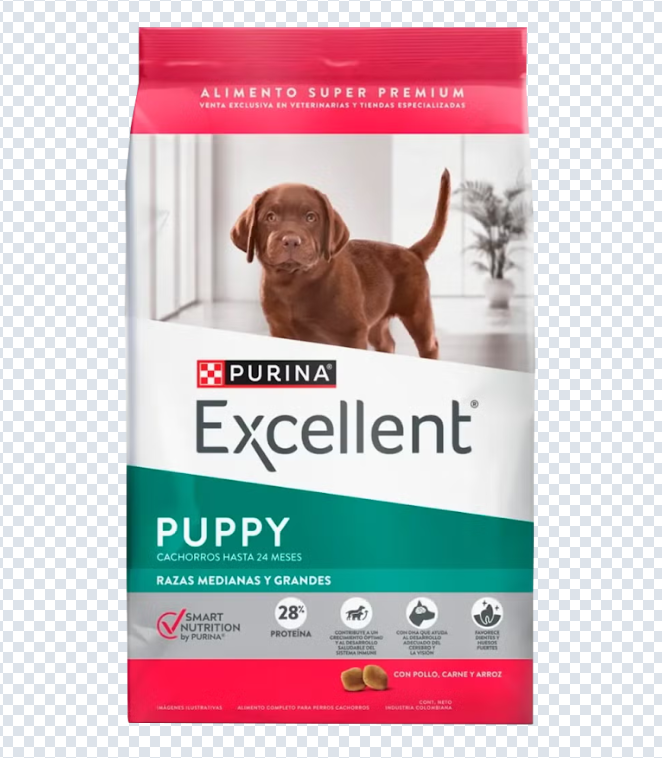 Excellent Cachorros Razas medianas y grandes