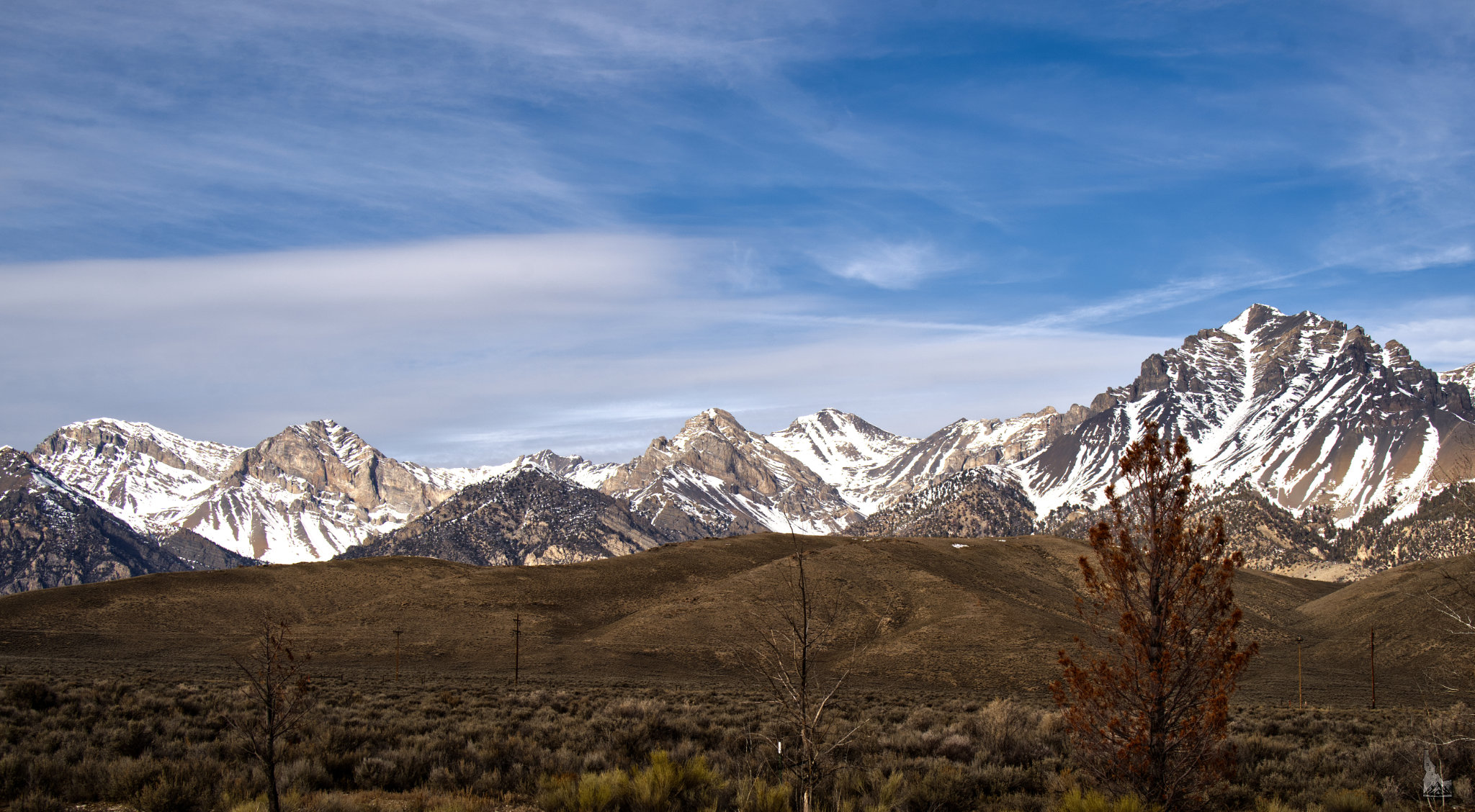 Between Spring and Snow