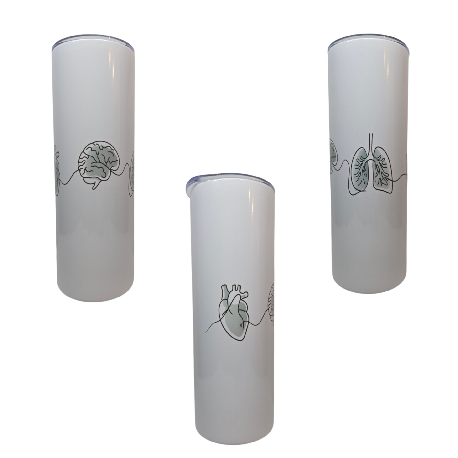 Medical AnatomyTumbler