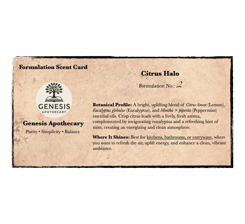 Passive Reed Diffuser Package