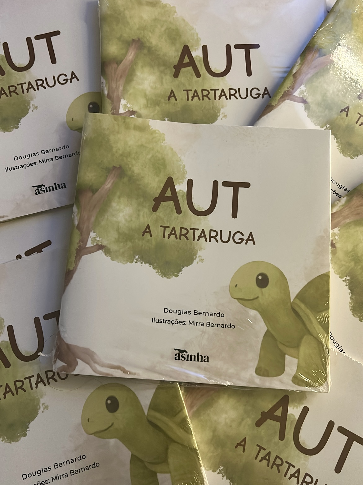 Aut, A Tartaruga