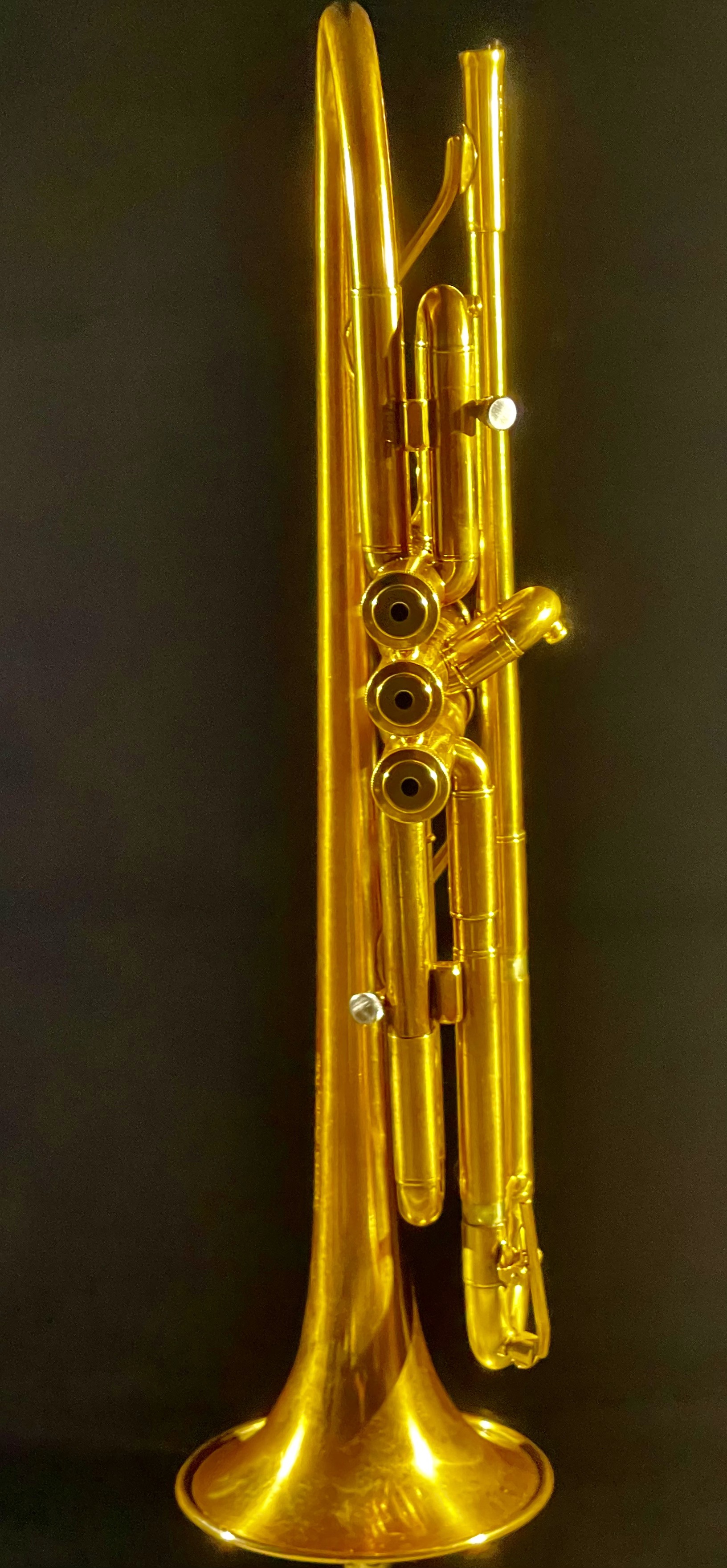 Venturi Bb Trumpet - The Dolce Calorosa Model