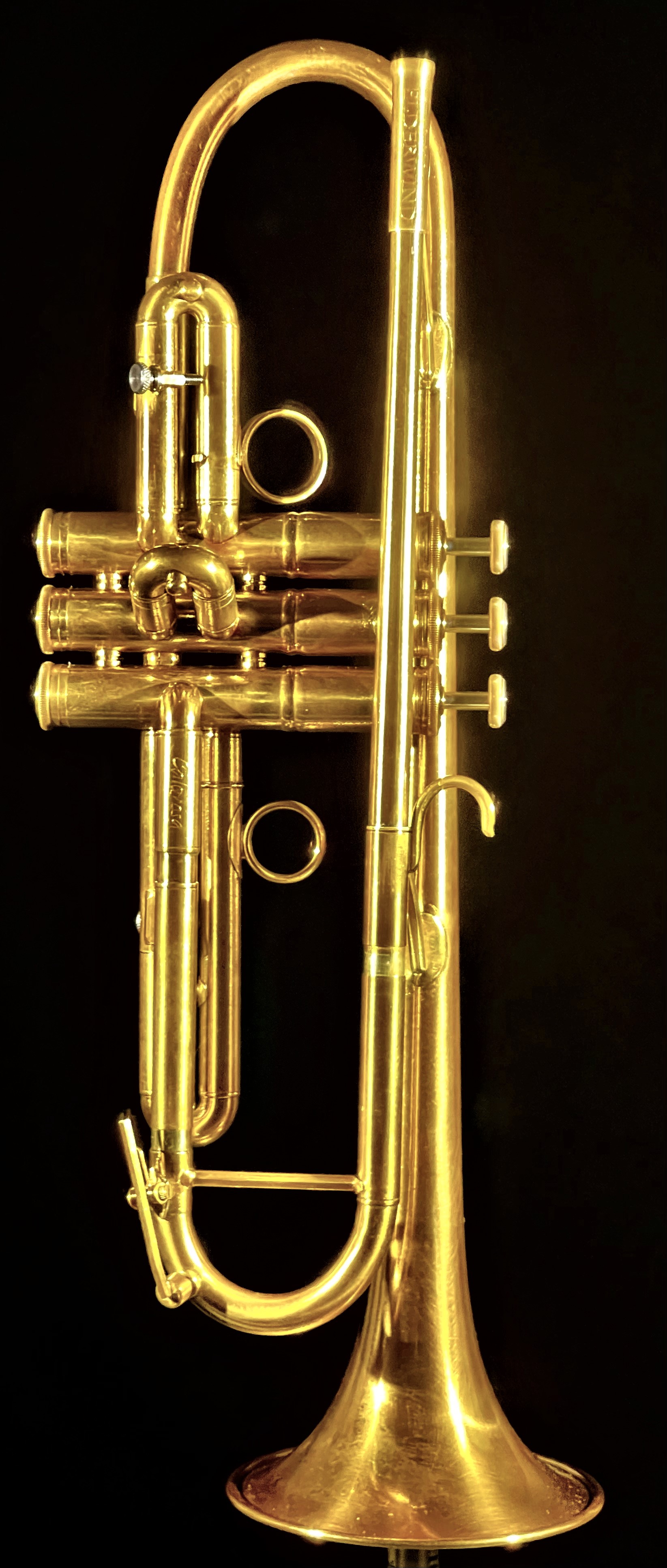 Venturi Bb Trumpet - The Dolce Calorosa Model