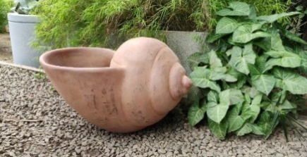 Conch Shell Terracotta Planter