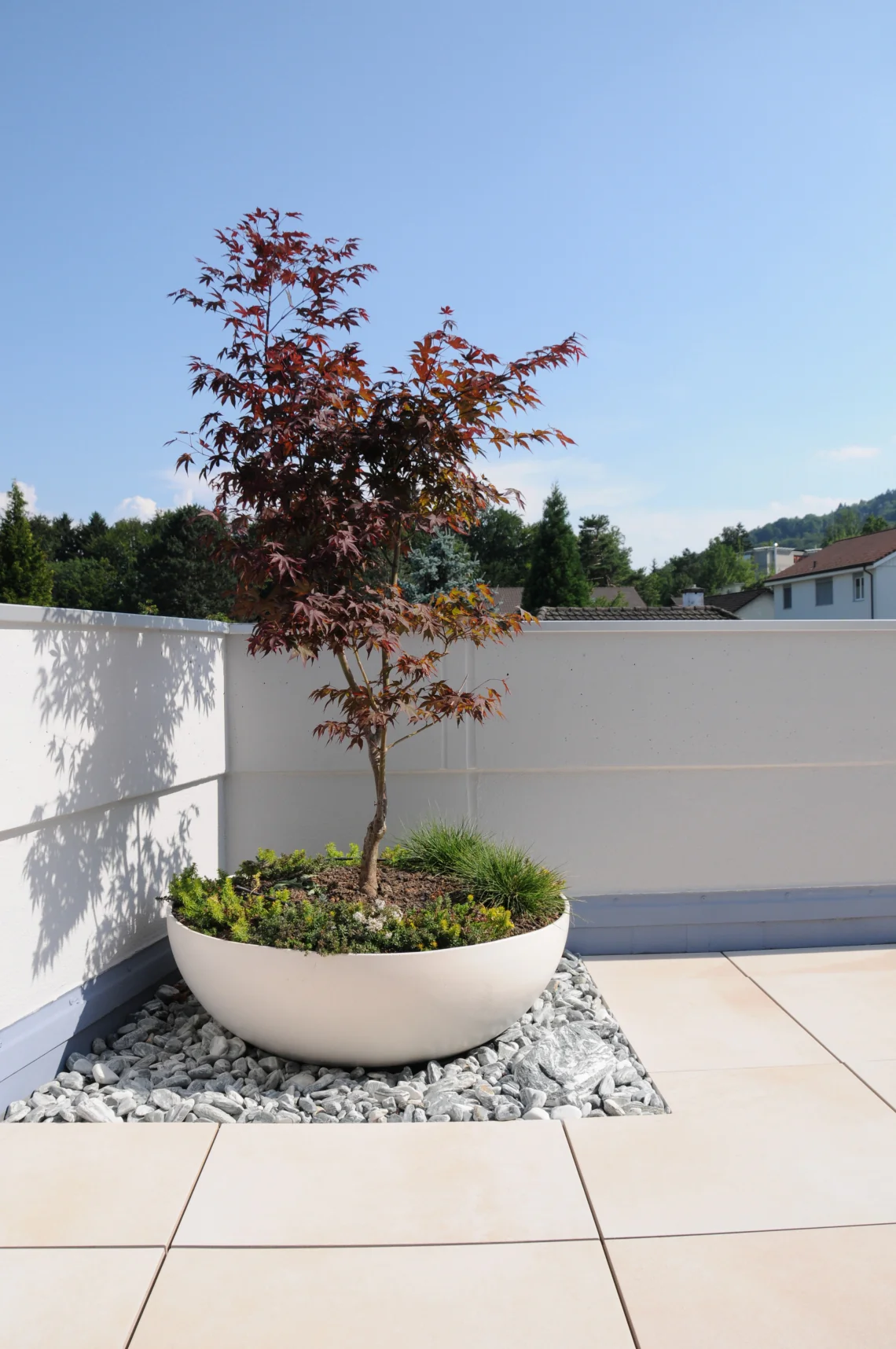 Modern Bowl type FRP Planter