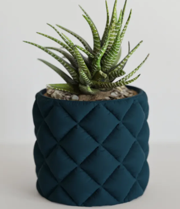 Vaso Decorativo com Suculenta