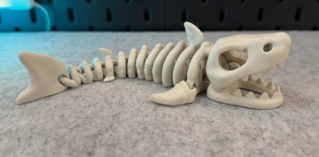 Esqueleto de Tubarão 3D