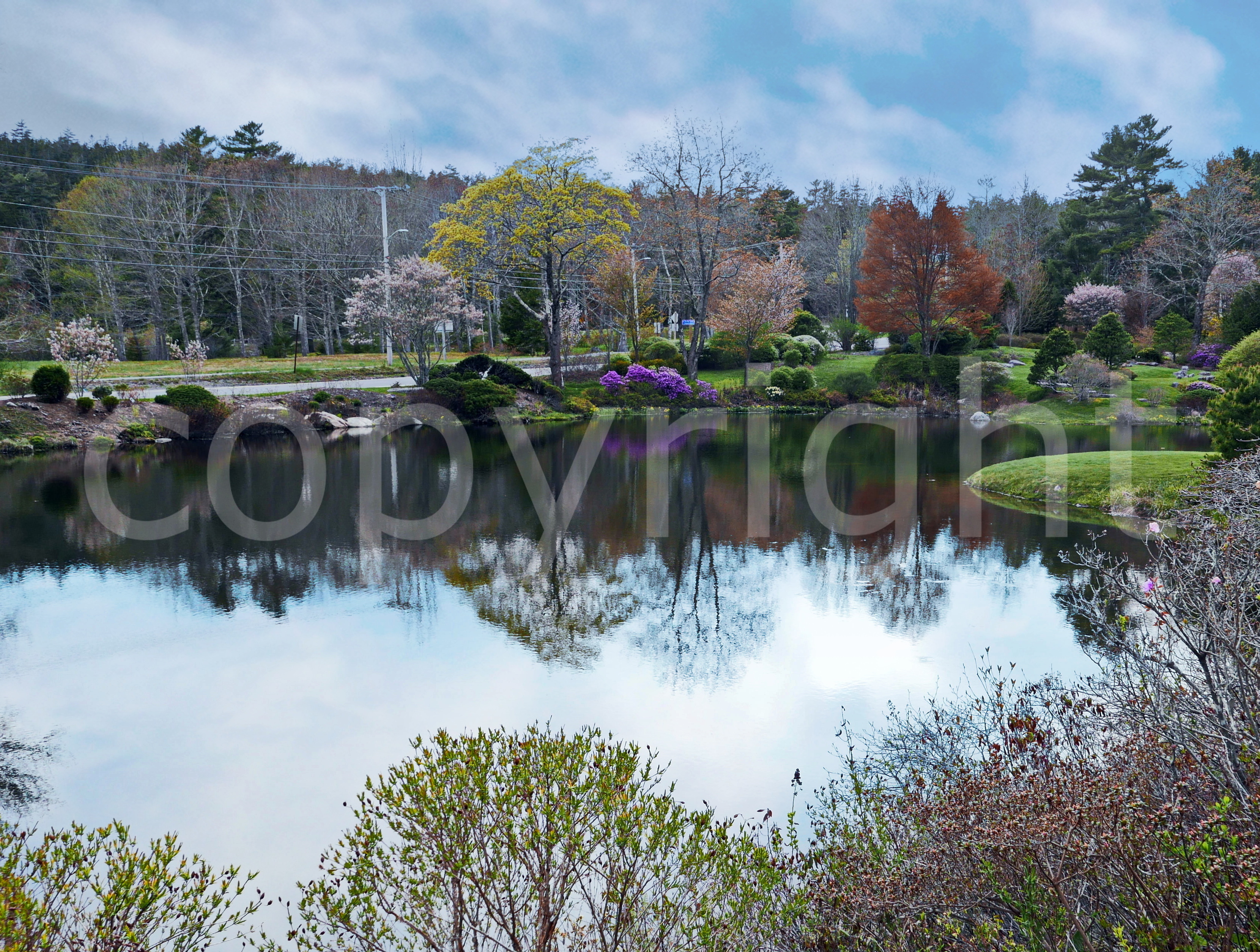 Spring Garden Landscape