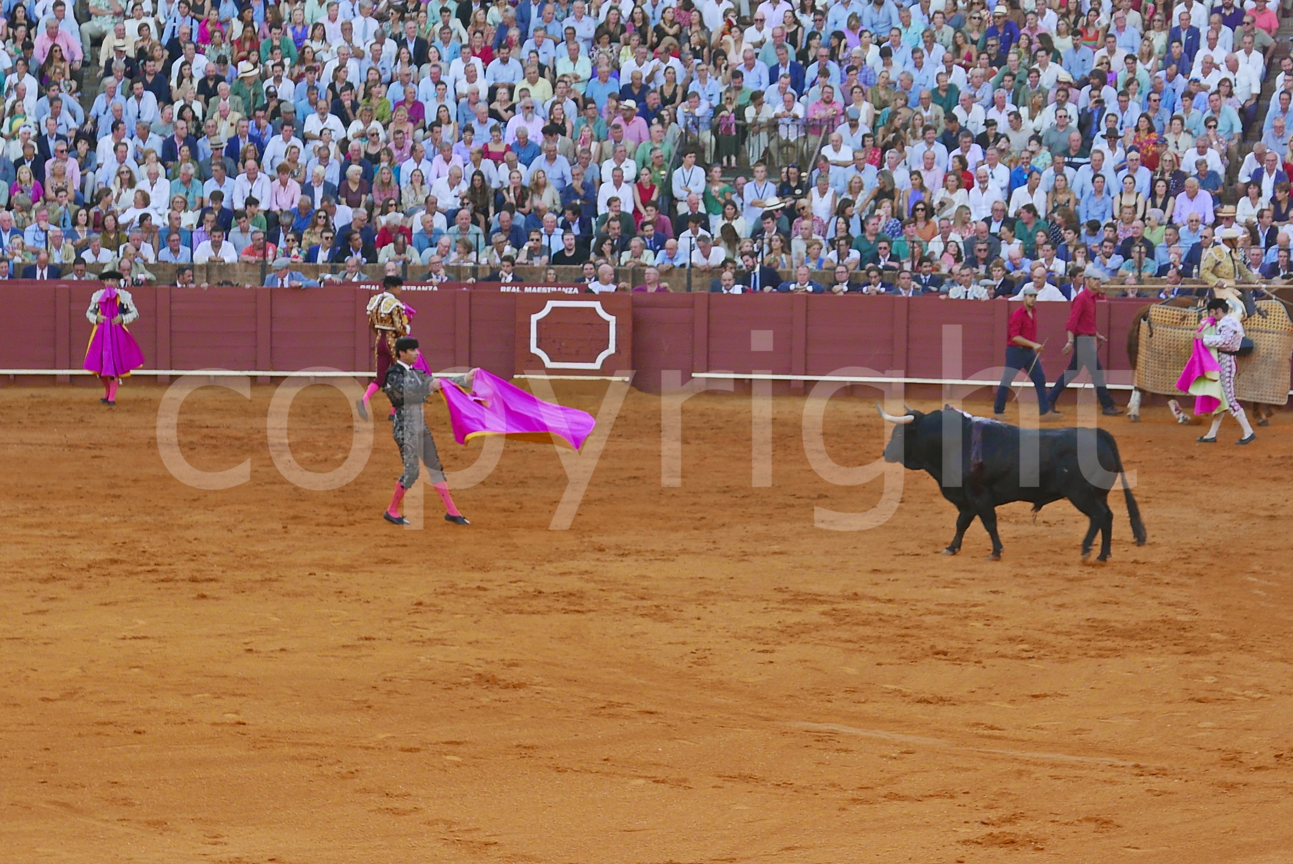 Spanish Bullfighting Event in Seville